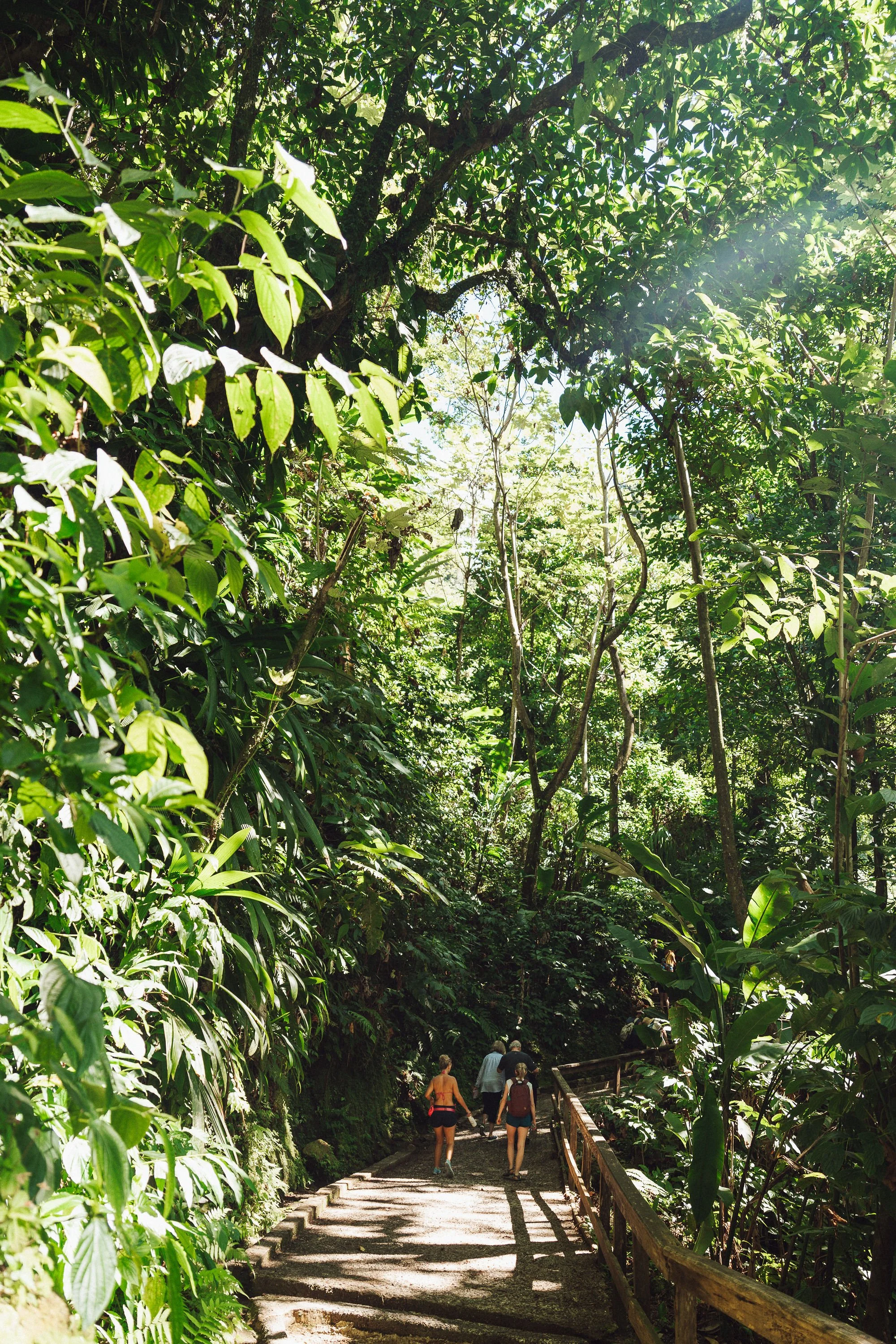 DominicaEnlivenRetreat_Day2-24.jpg