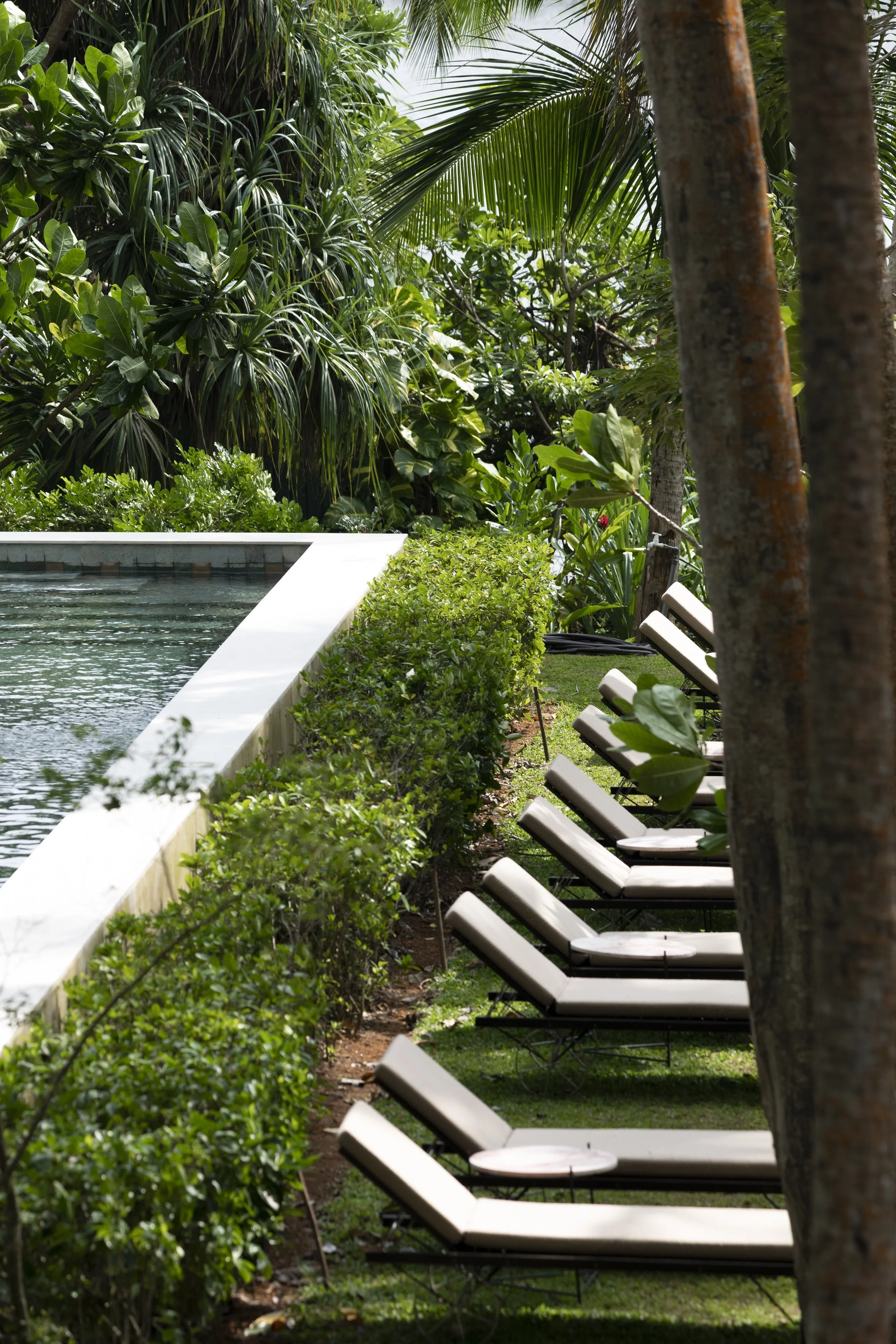 Copy of IMG_2009.jpg