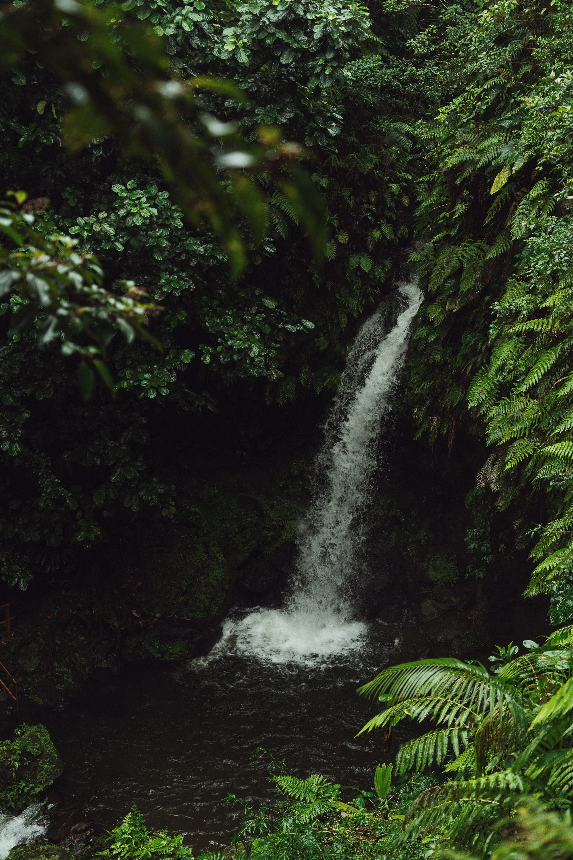 DominicaEnlivenRetreat_Day4-2.jpg