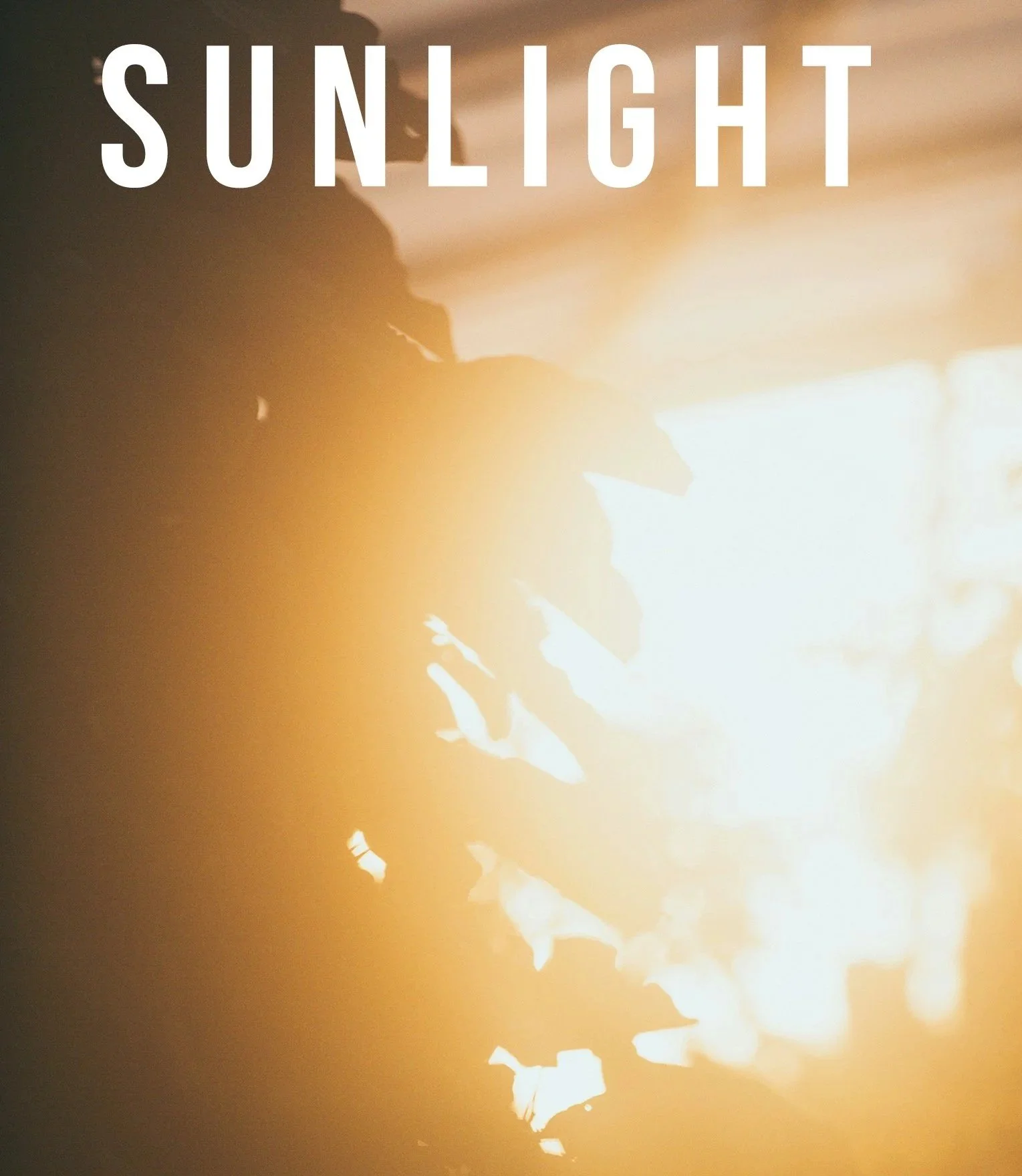 Sunlight Later Cover Final.jpg