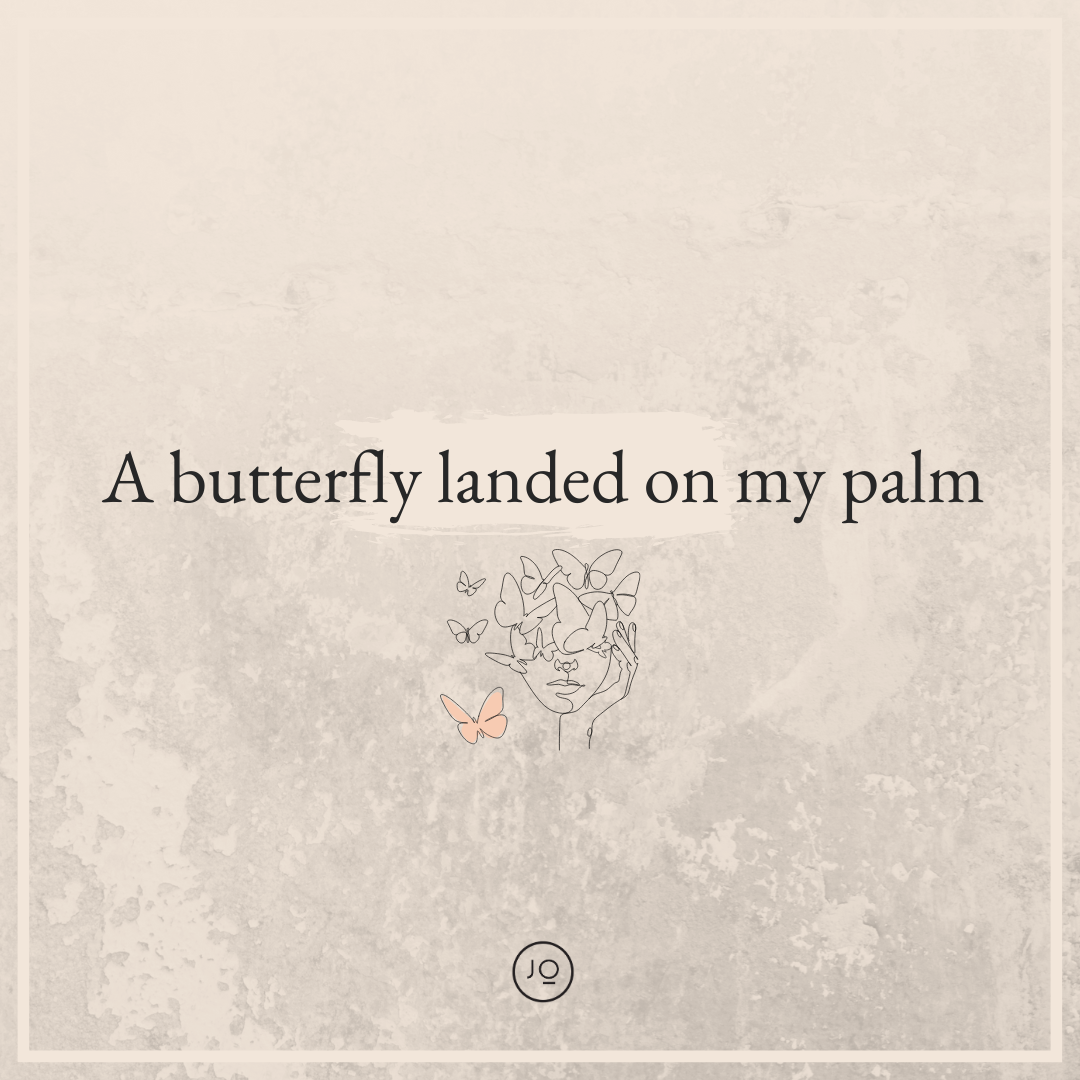 A butterfly landed on my palm
