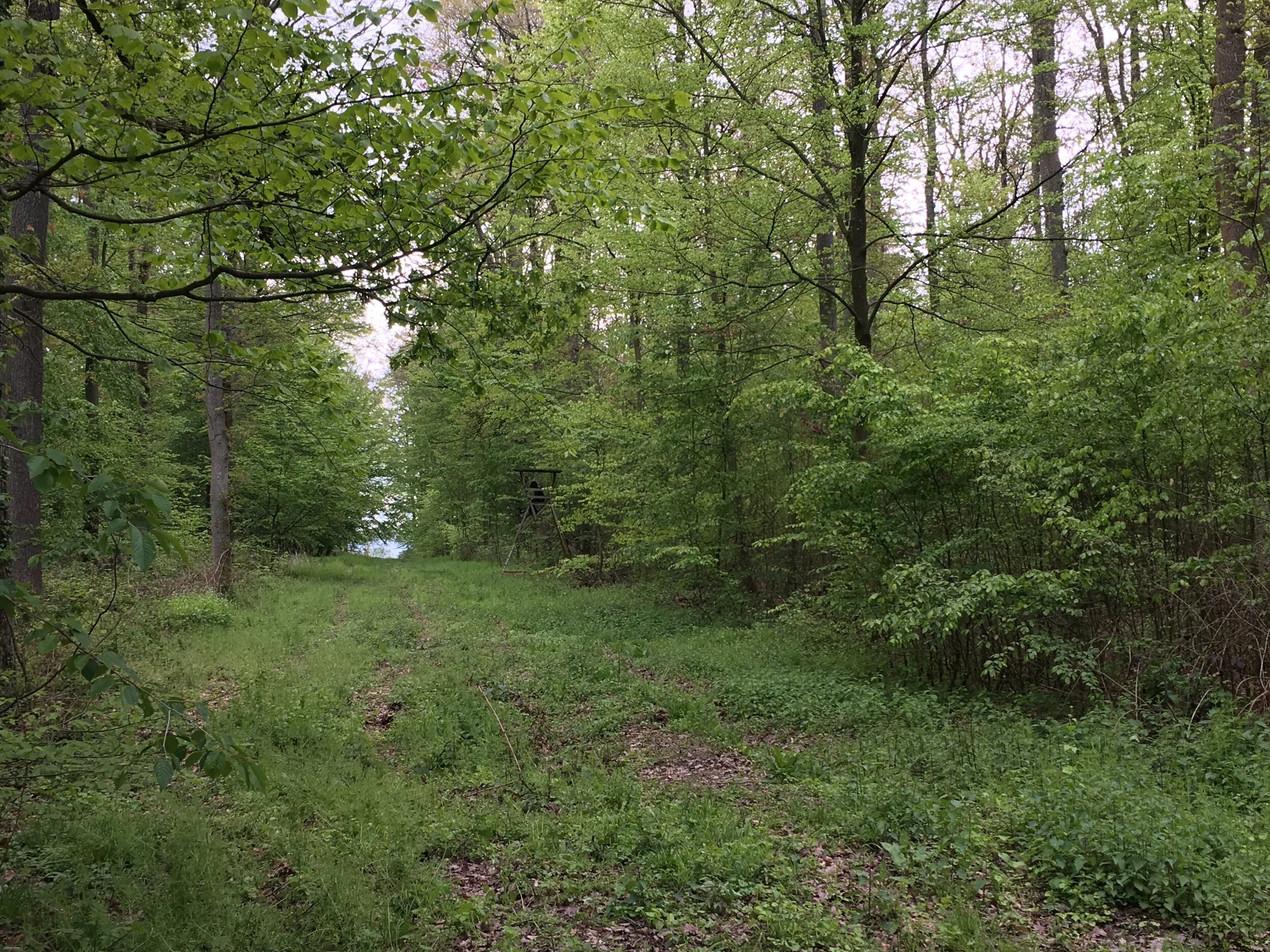 Pose, Breath and Drishti