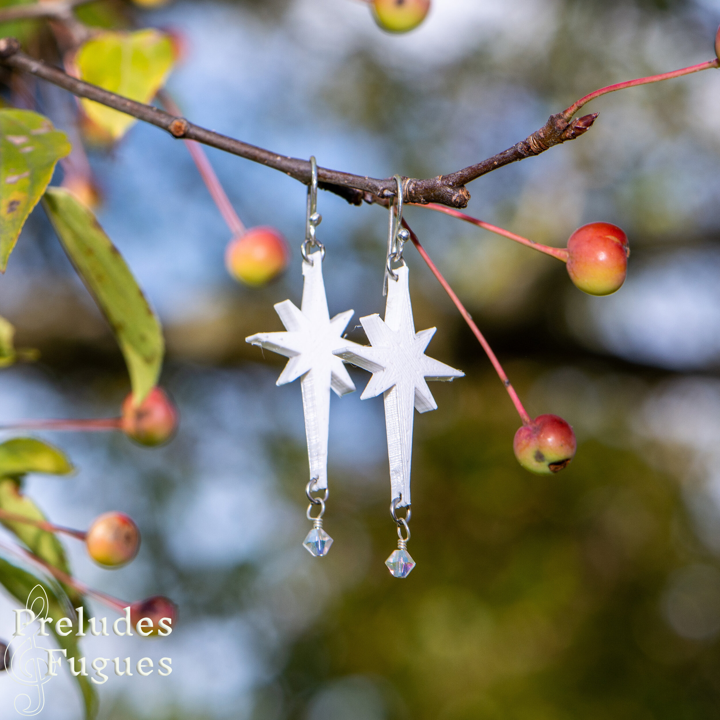 17 3-D print Moravian star.jpg