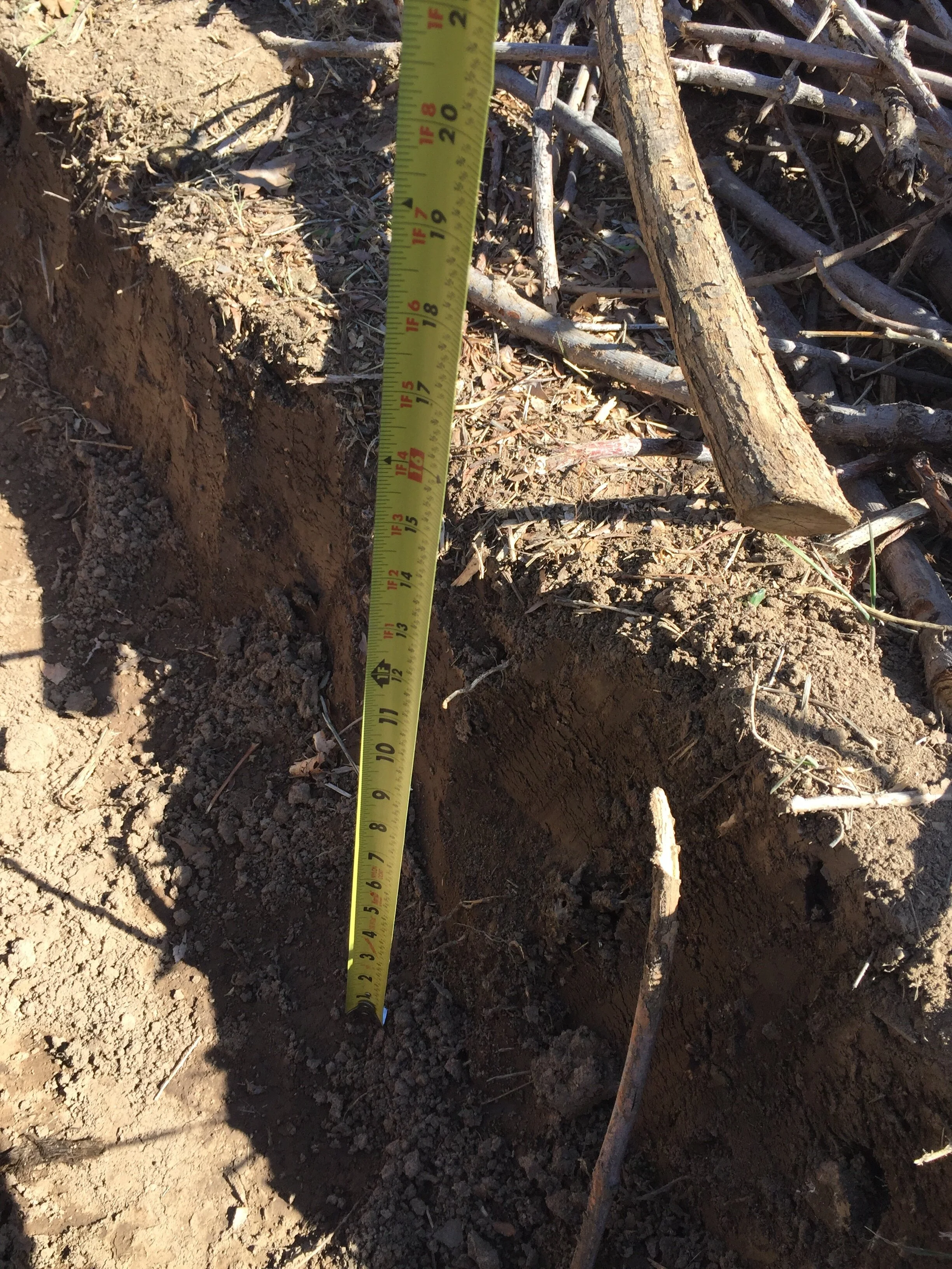 We’re aiming for 2ft x 2ft x 16ft rows (previously 18ft)