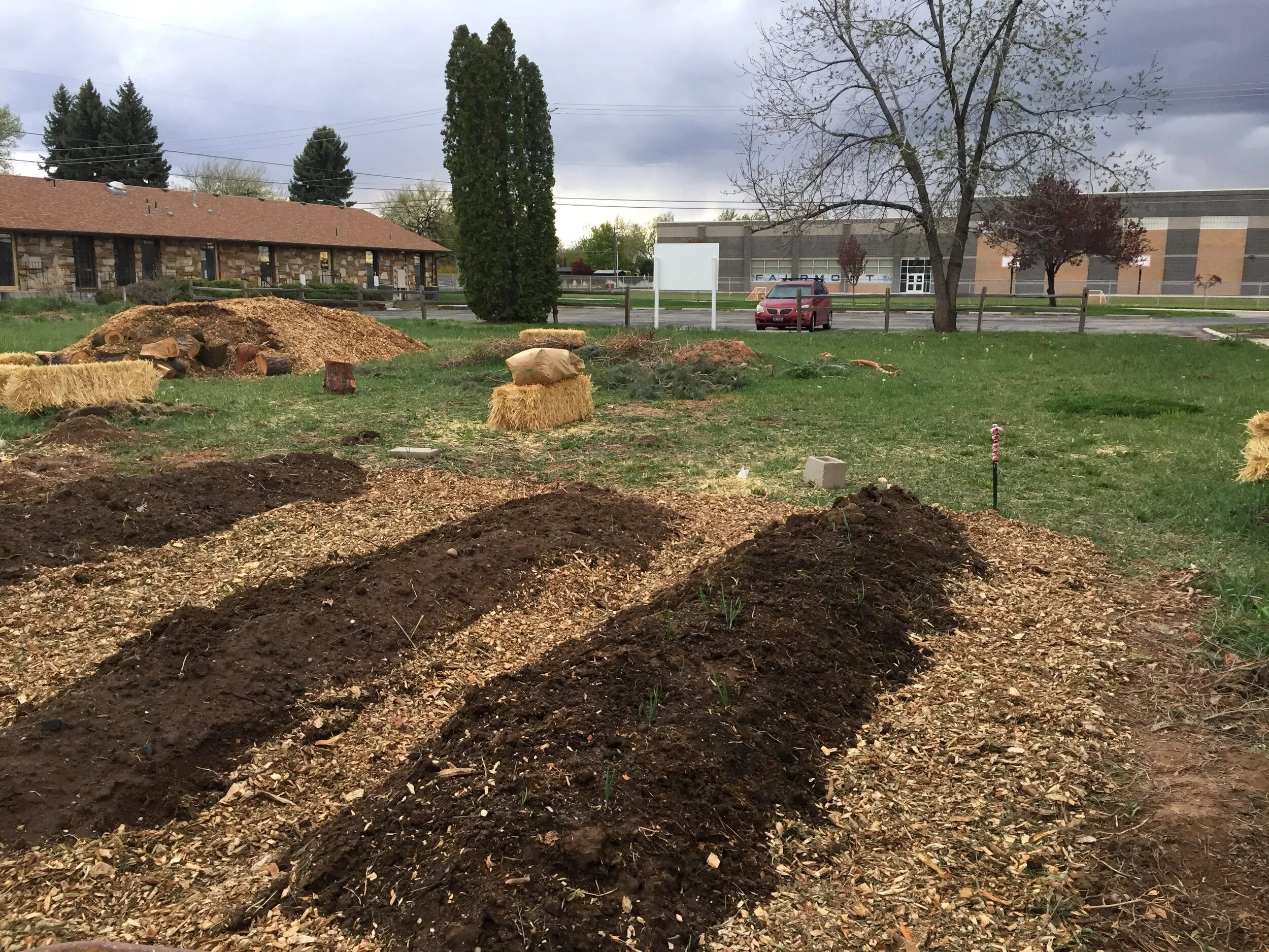 If you do find yourself at the garden I’ve started laying out wood chips around the hügel rows. See below for process.