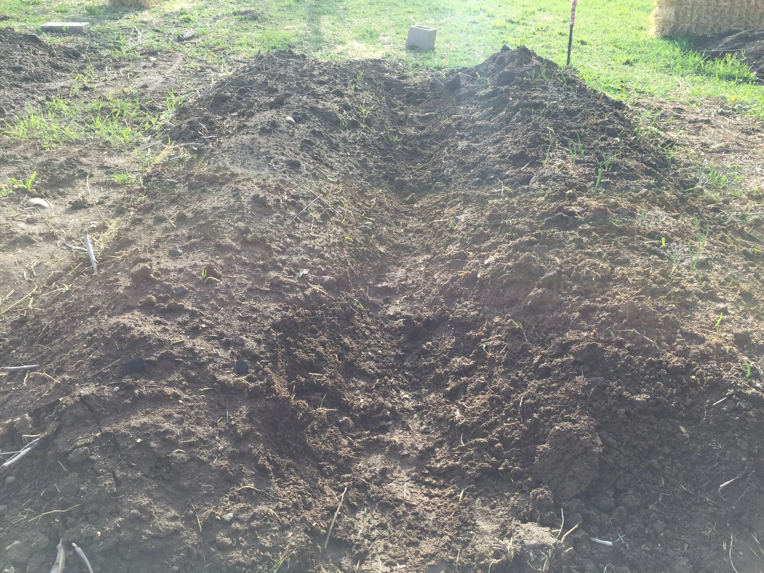Took advantage of the soft soil to shape our rows a bit more.