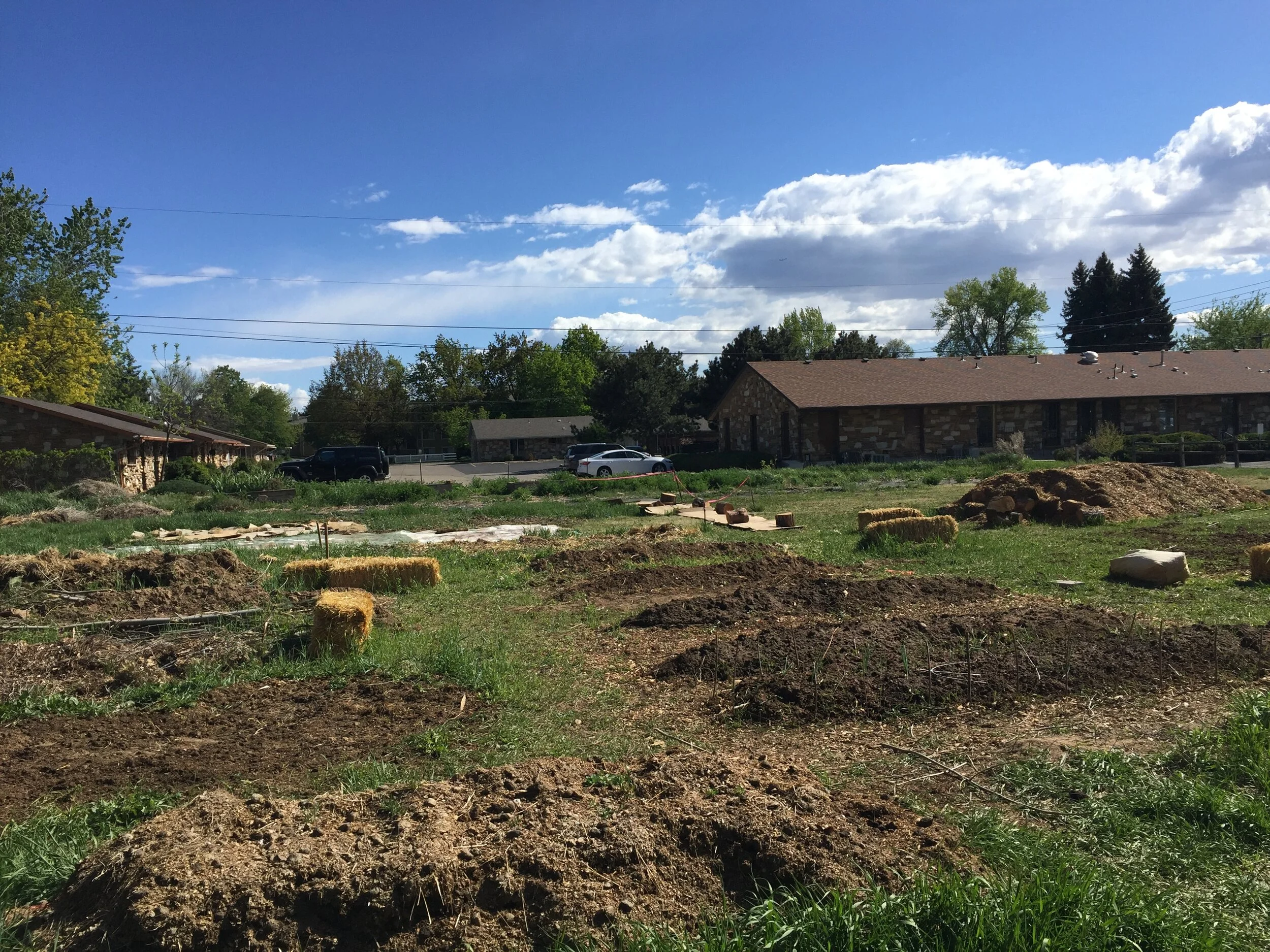 Direct-Seed Planting