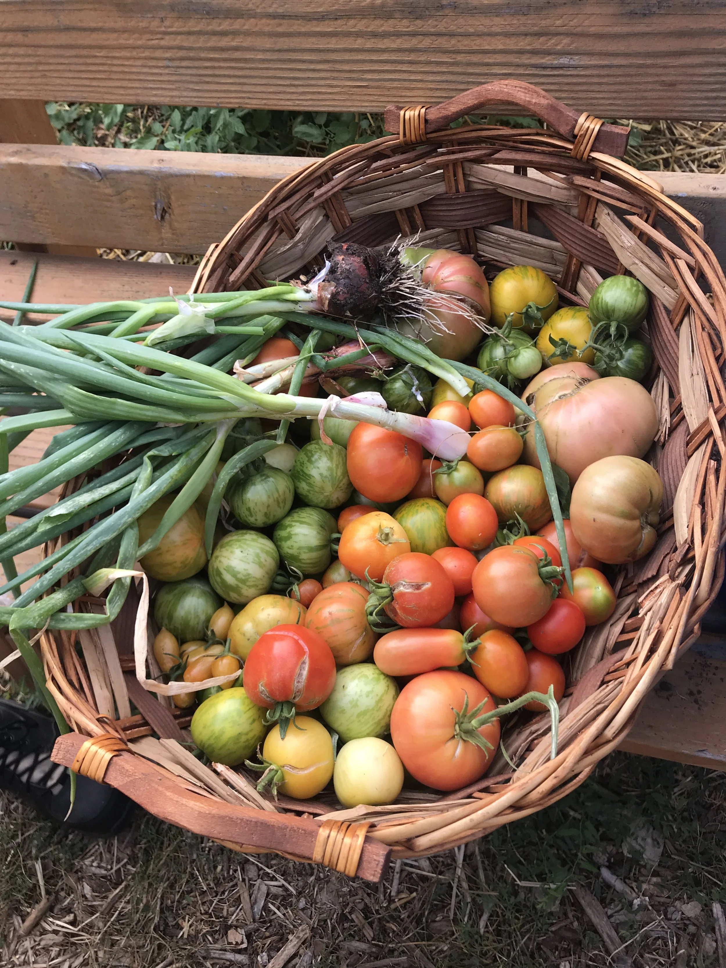 Welcome to the 2025 Season!