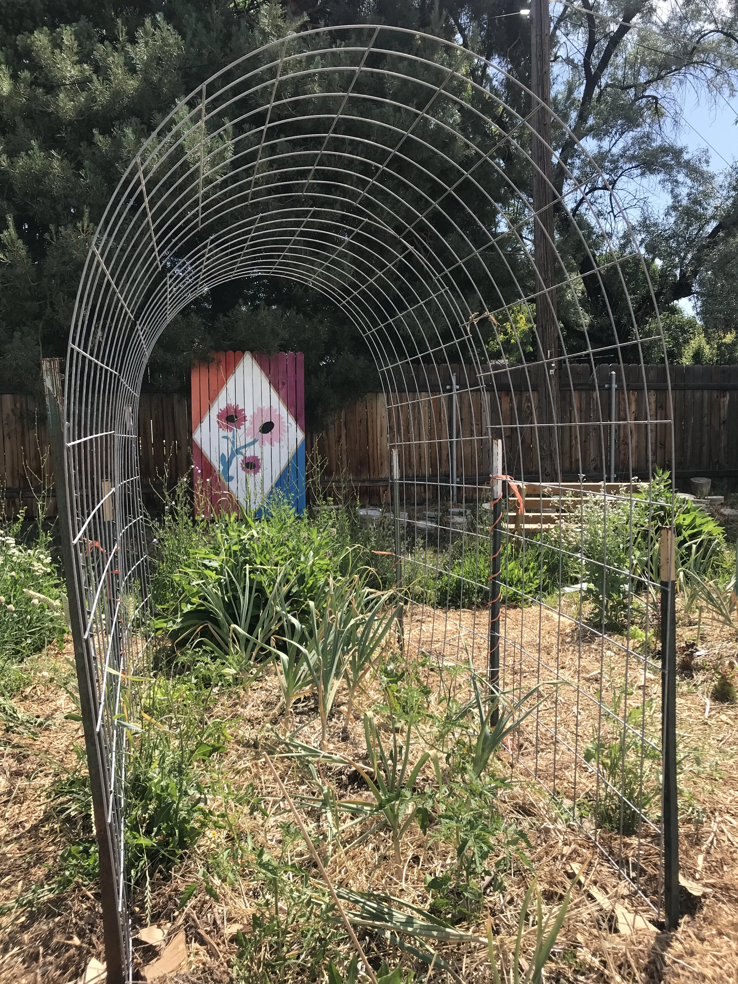 Late June - July GMG Garden