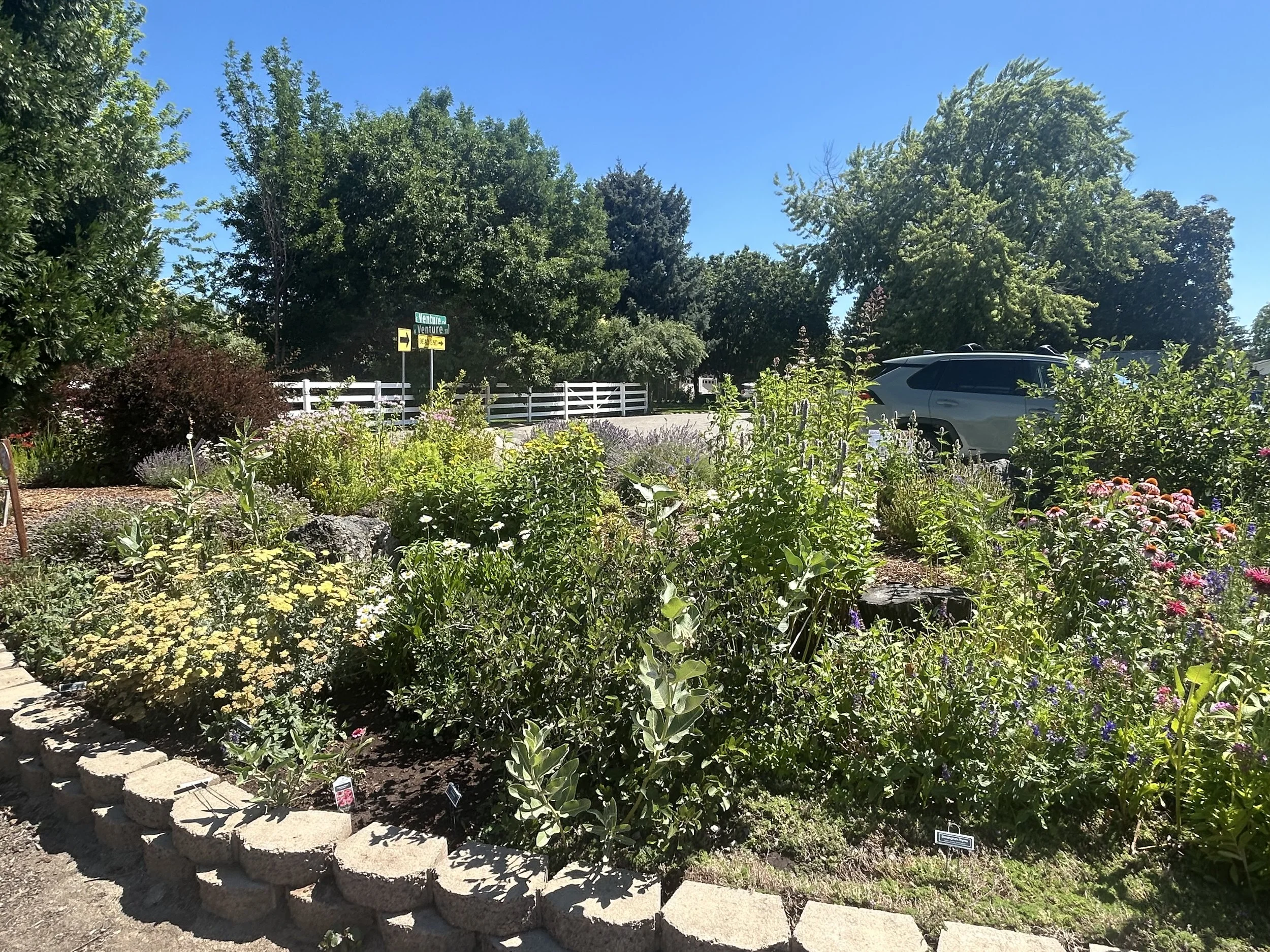 IMG_5774.jpeg