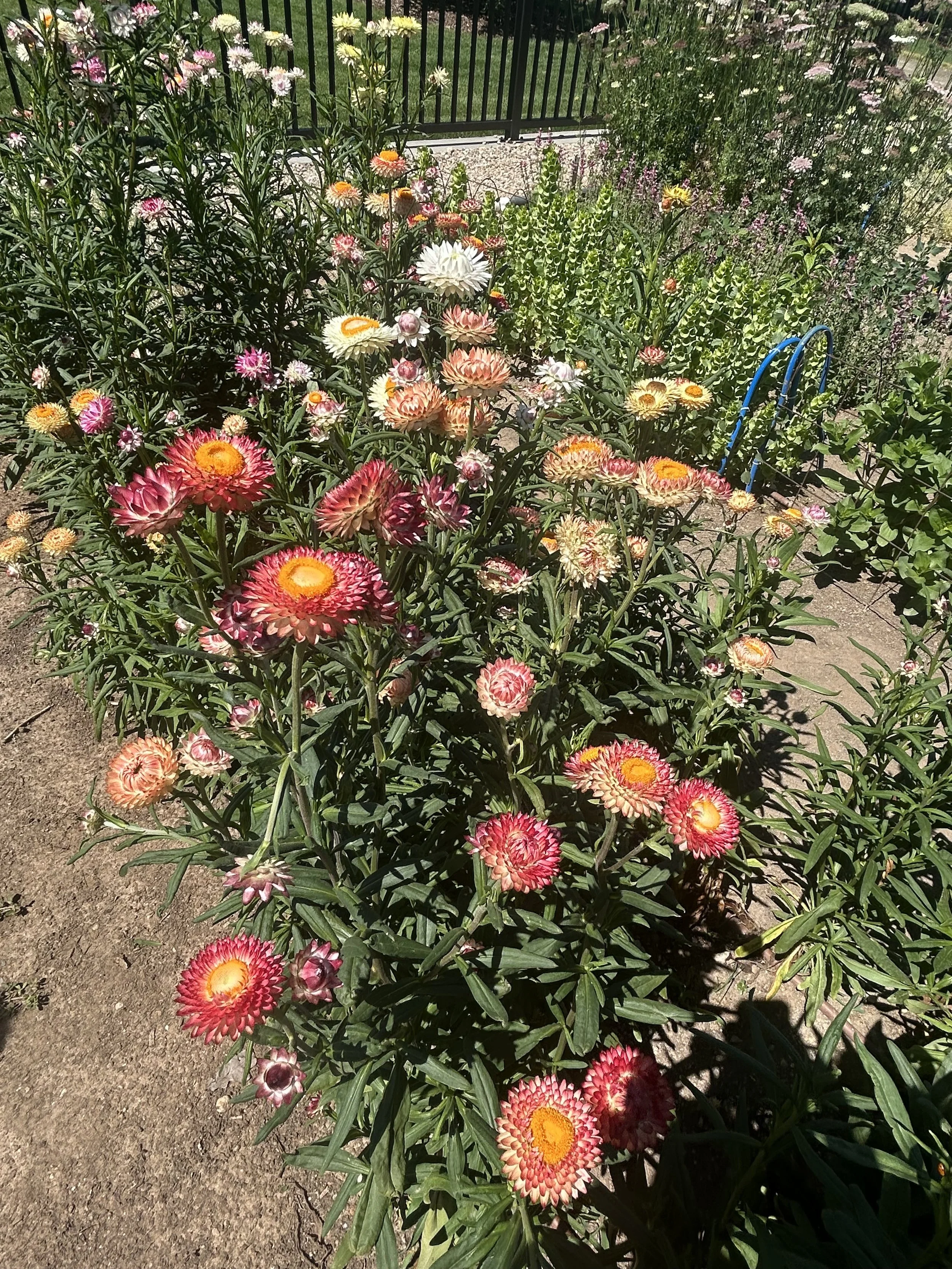 IMG_5772.jpeg