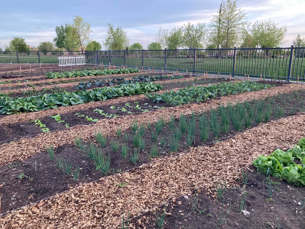 Kleiner+Park++CG+Sprng+Planting.jpg