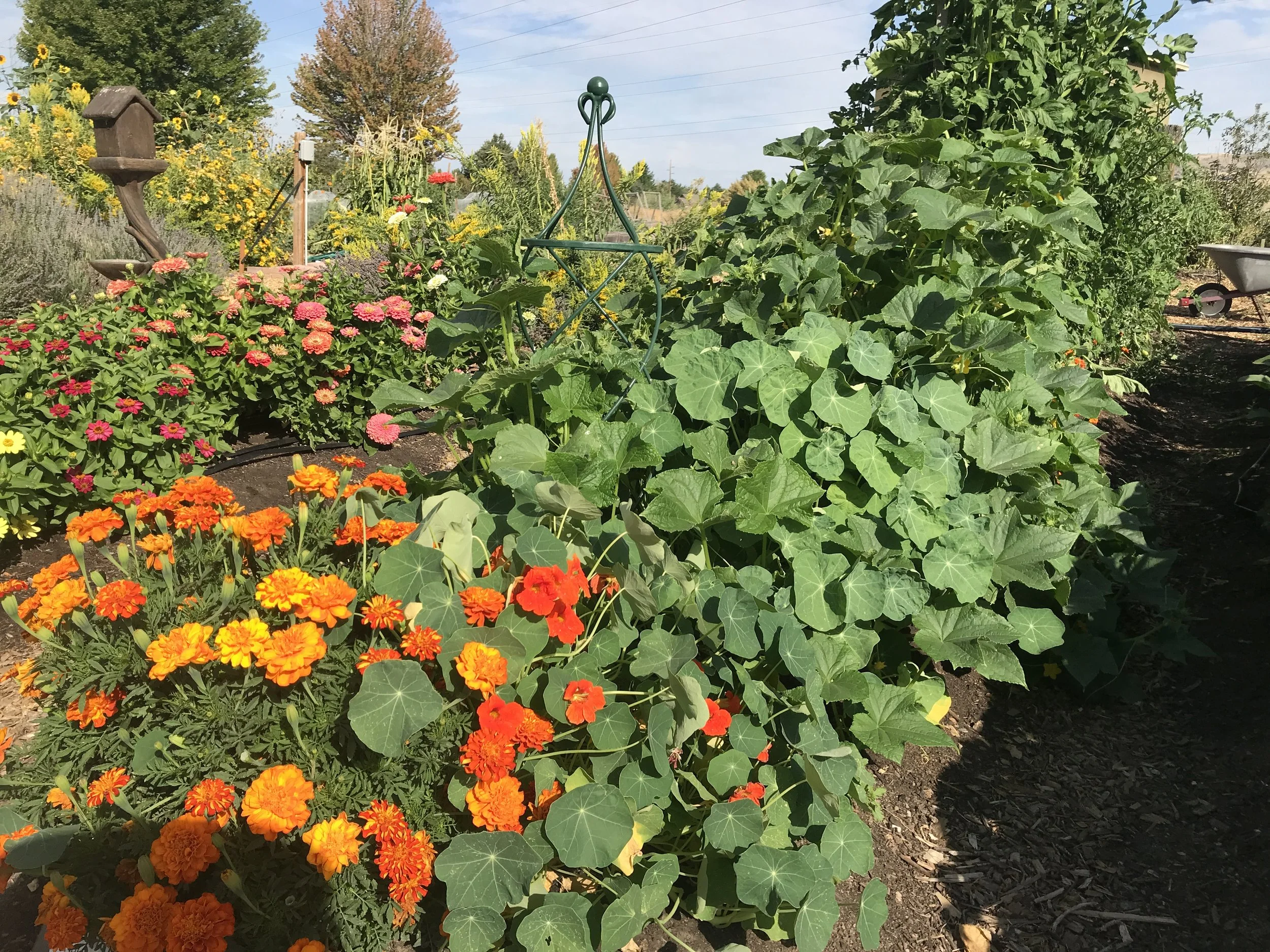 Plot 8 Surprise Valley.JPG