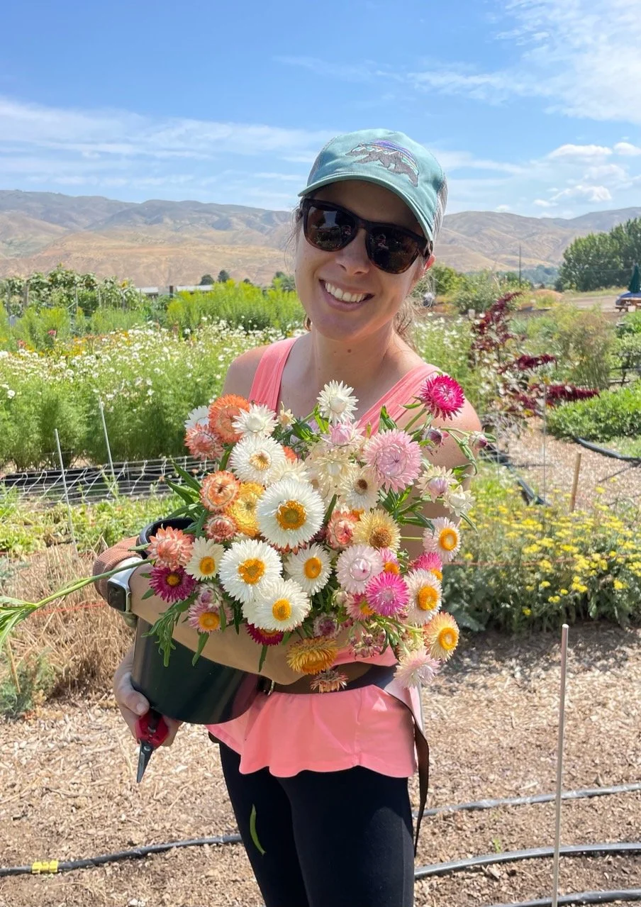 Garden Flowers
