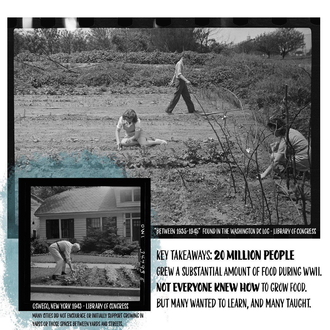 Key Takeaways: 20 million people grew a substantial amount of food during WWI and WWII.