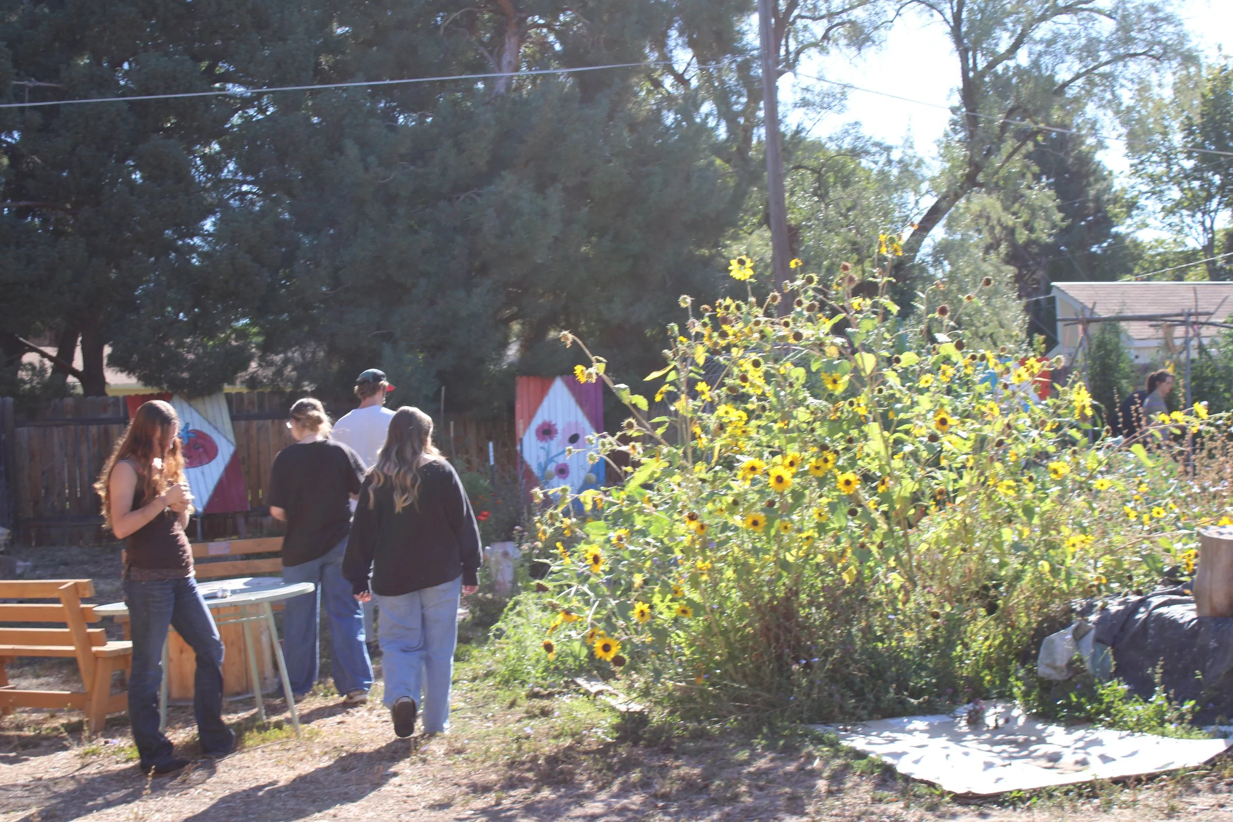 Garden meander 2 - photo by Lilliana