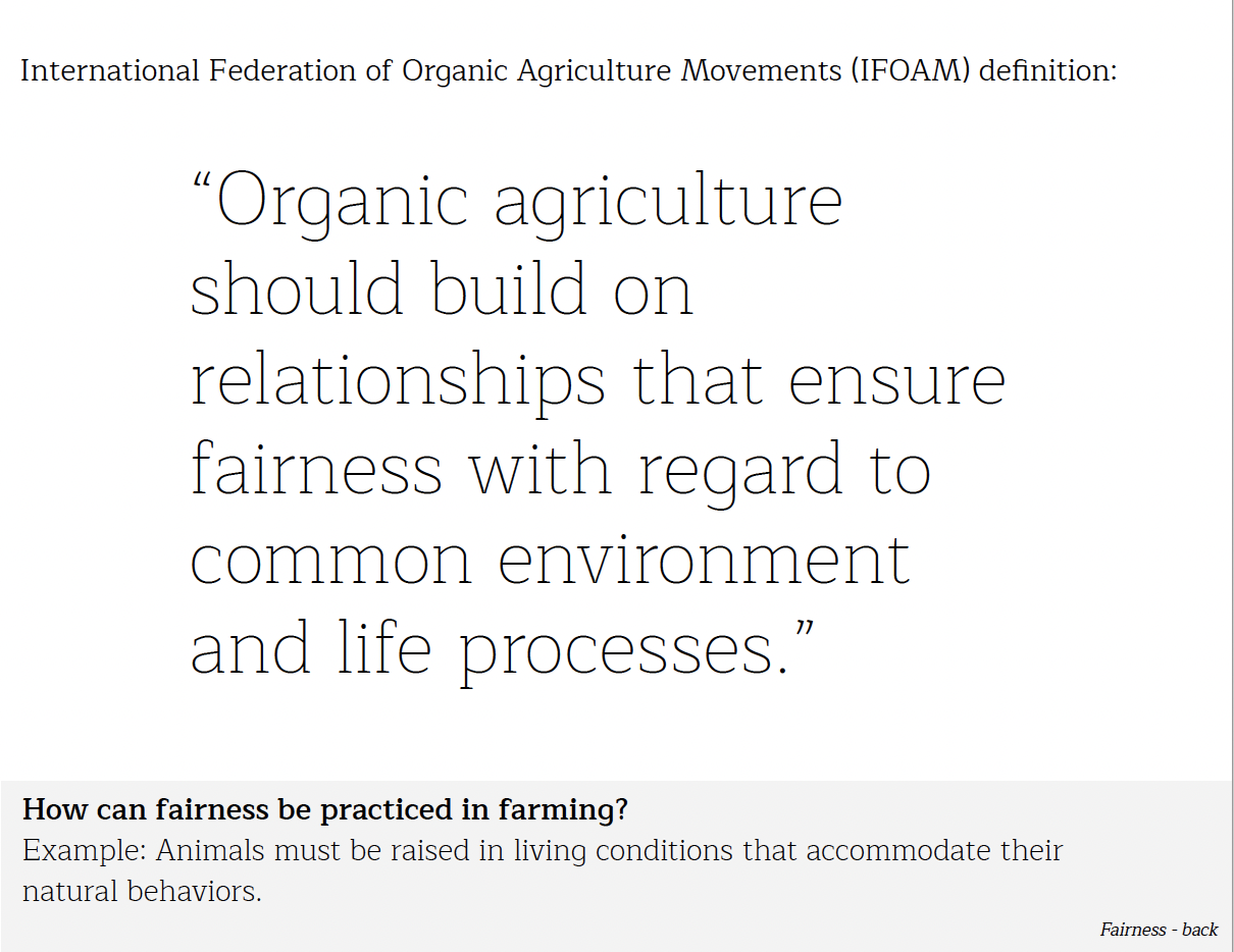 Fairness Back Edible Schoolyard Project