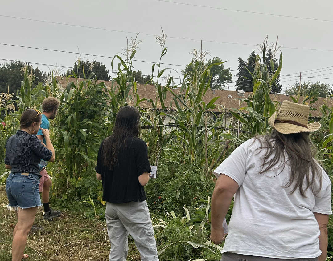 Garden Tour Admiring rows.png