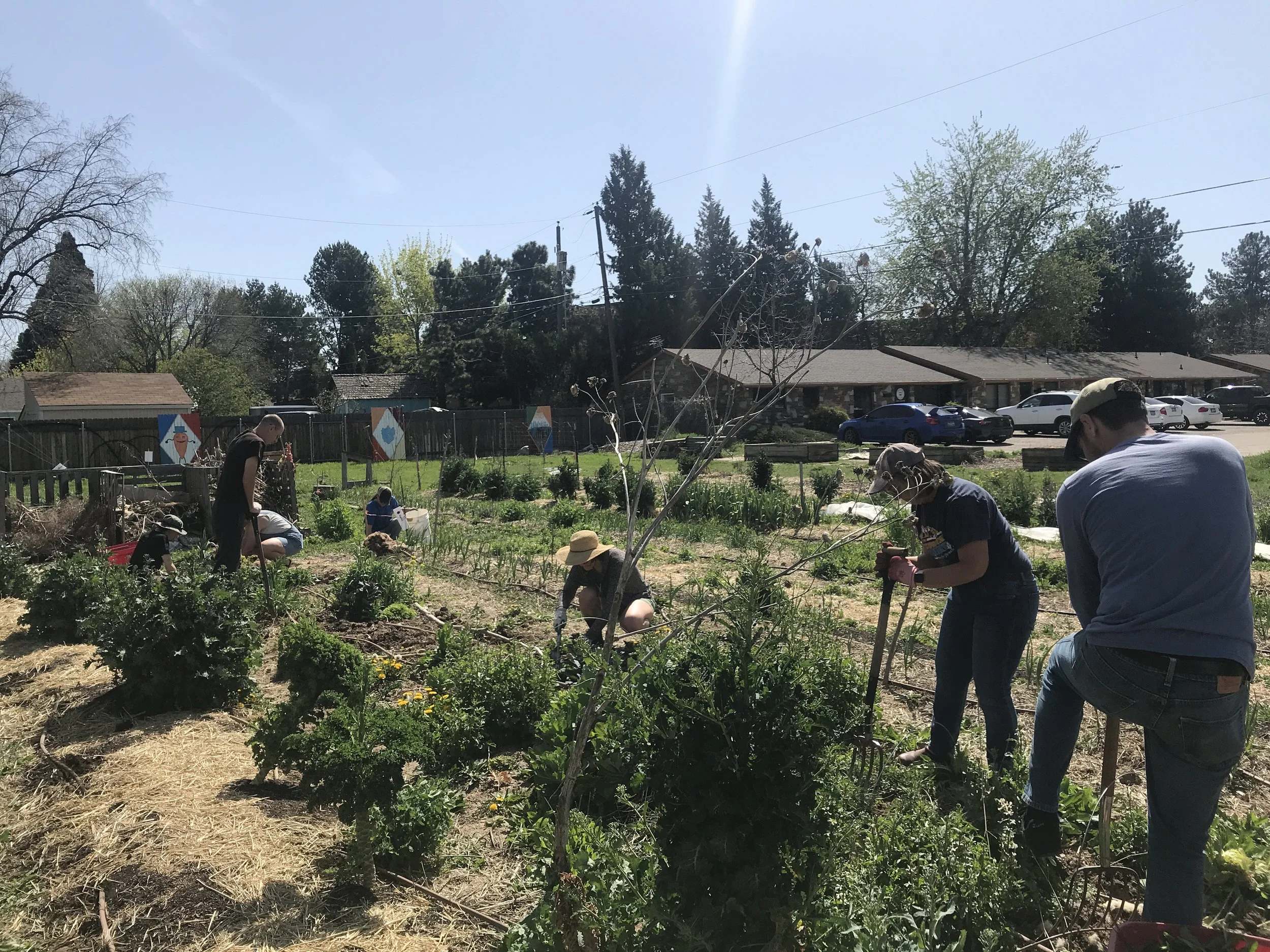 Community Gardening