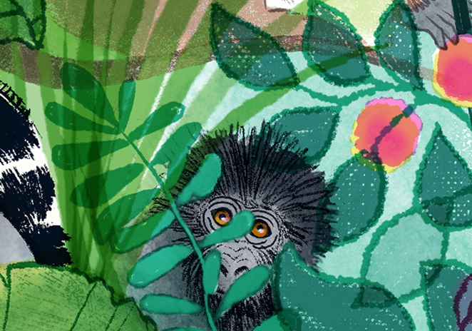 Primate Rescue Center