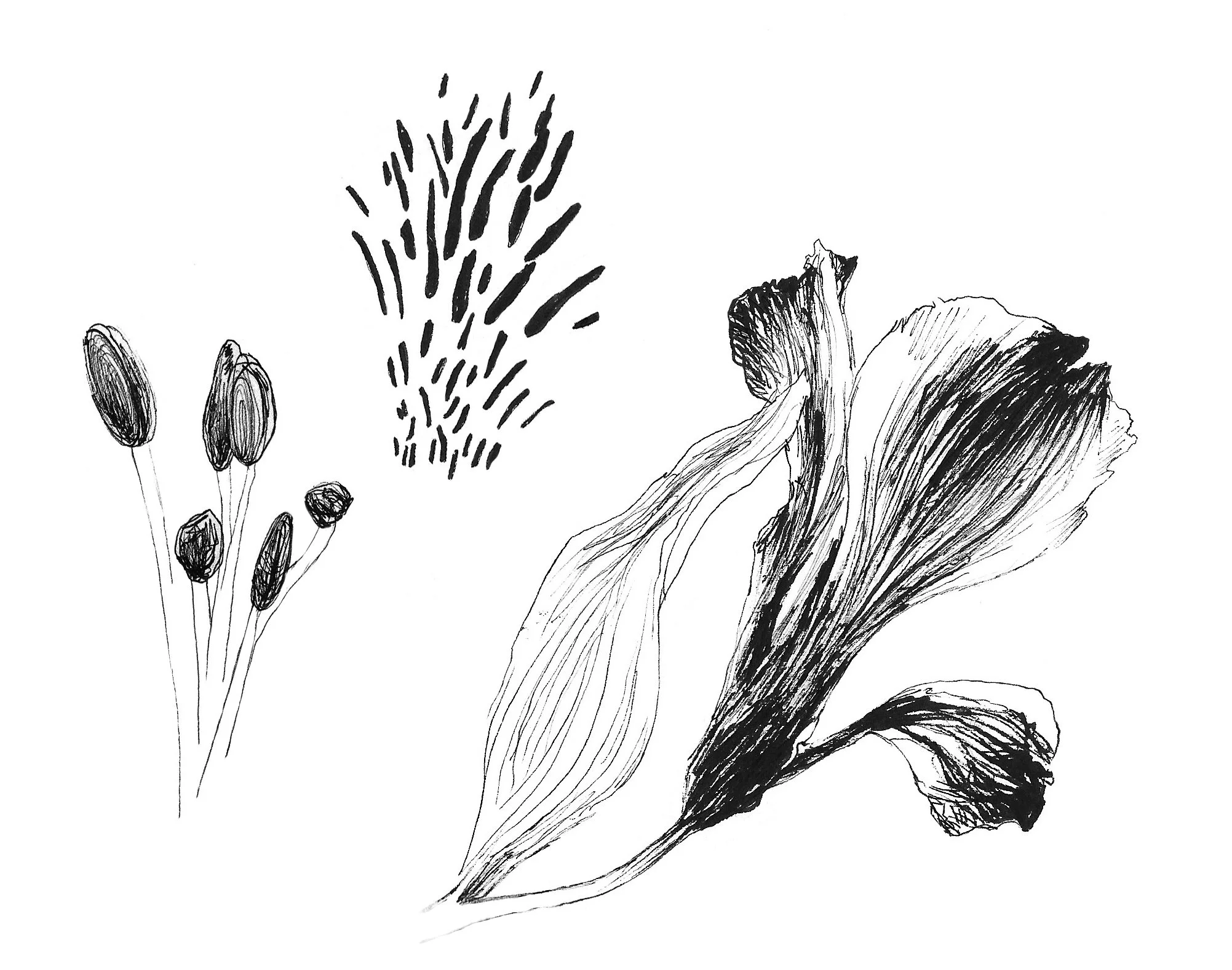 flowermix1.jpeg