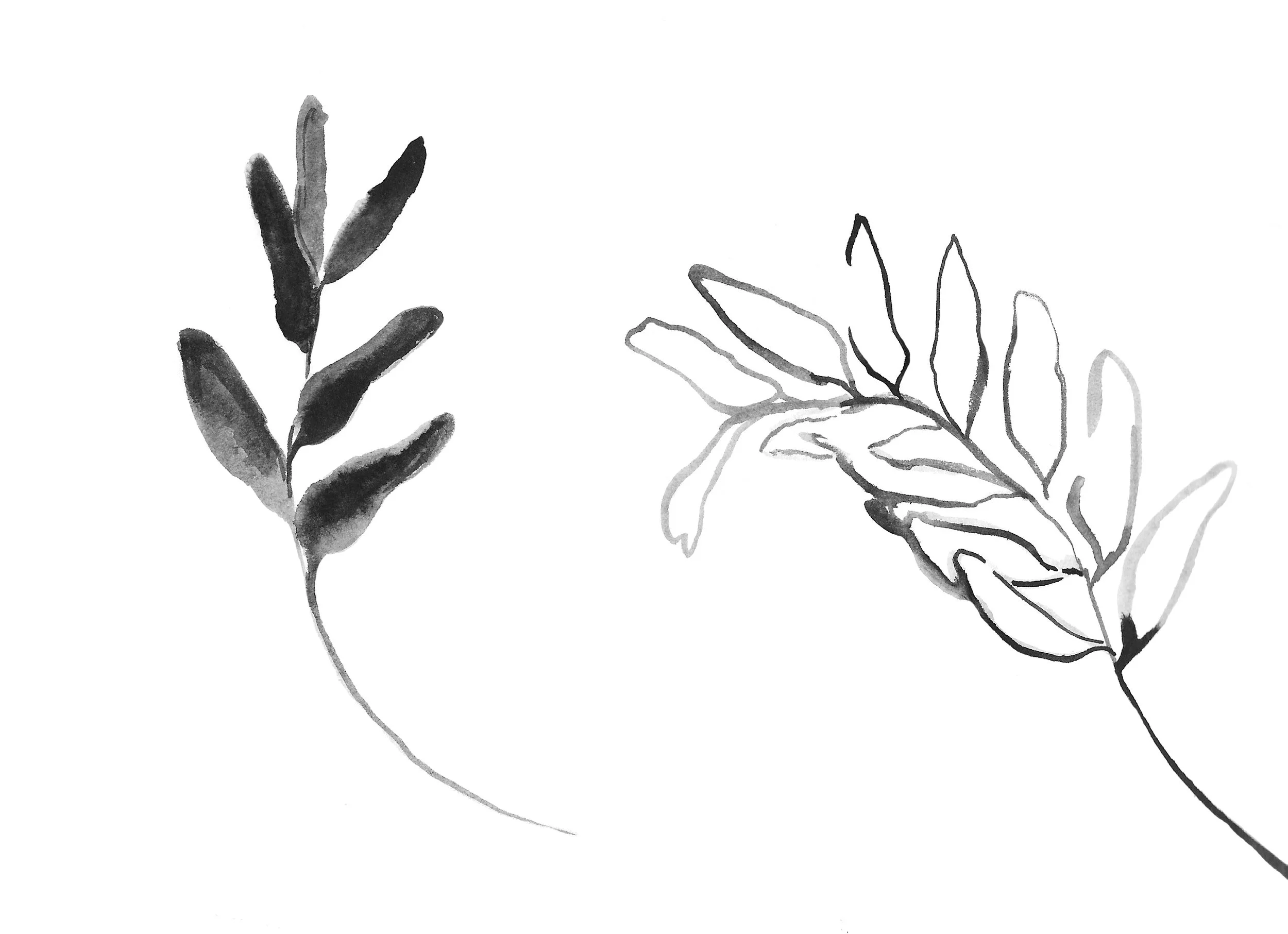 leaves.jpeg