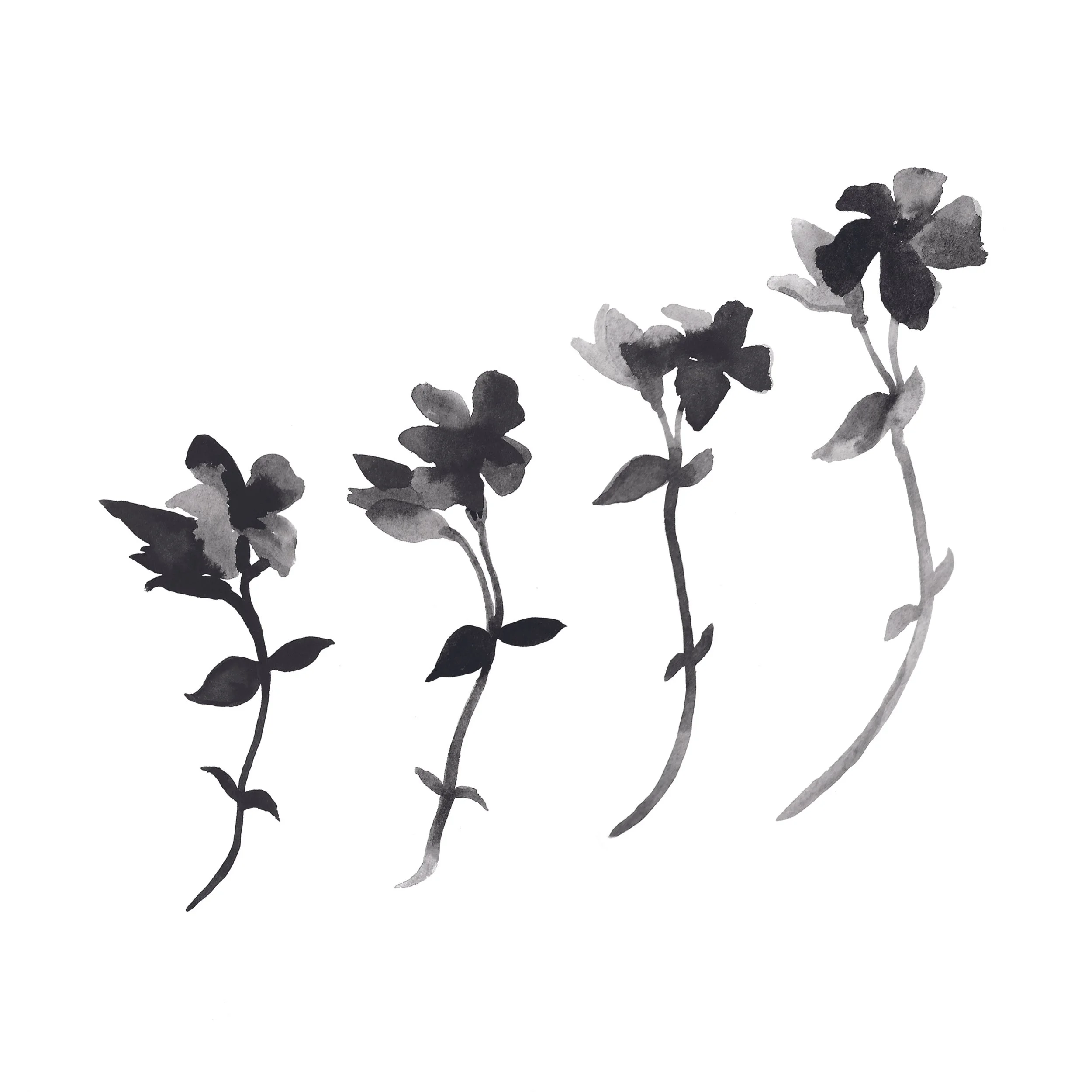 flowerrow.jpeg