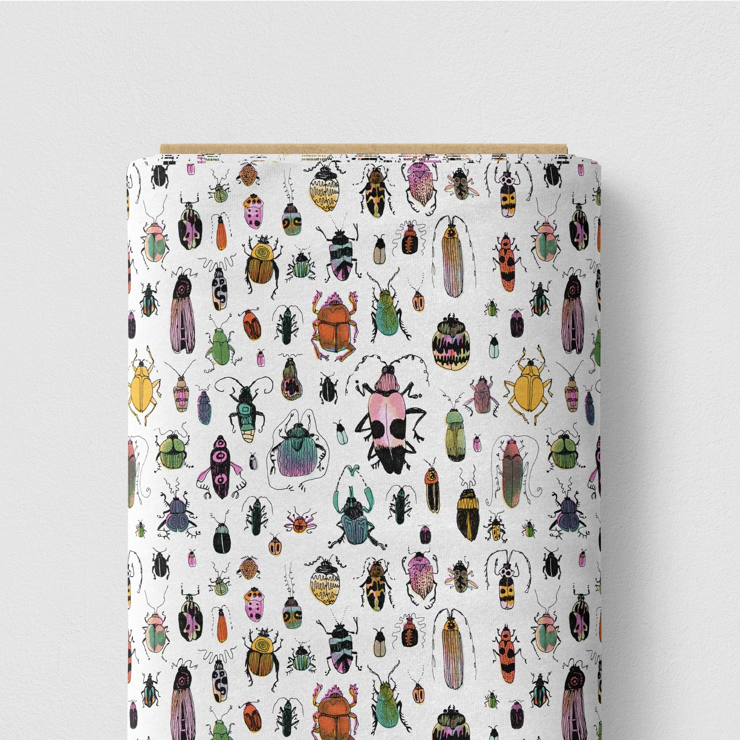 Beetle Diversity Pattern