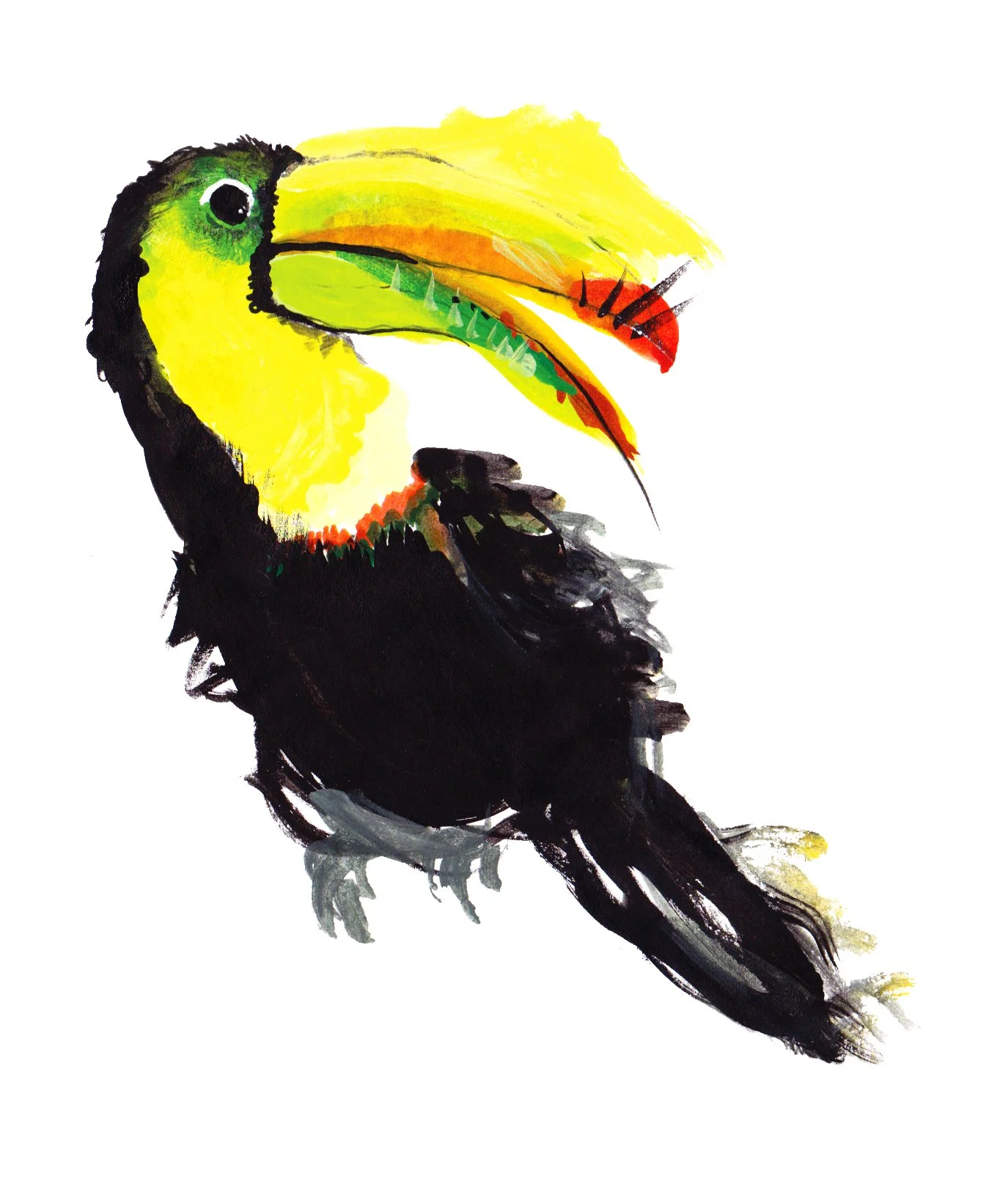 toucan  copy.jpg