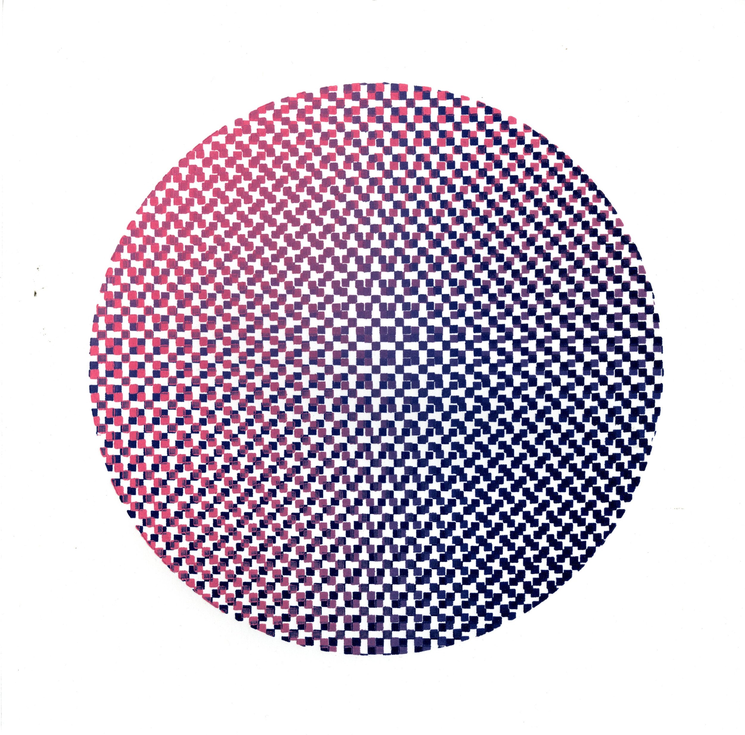 polo001.jpg