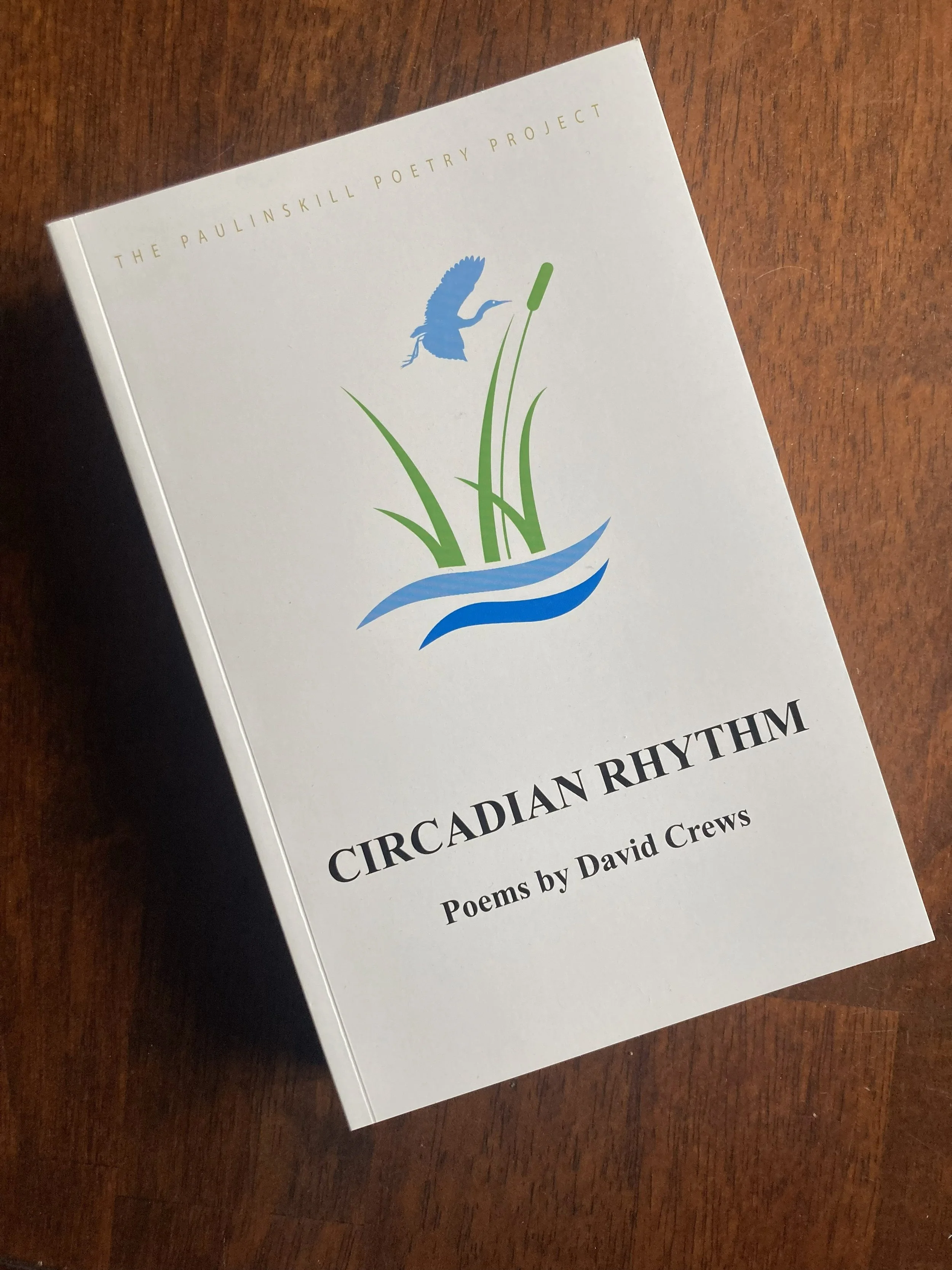 Circadian Rhythm 1.jpg