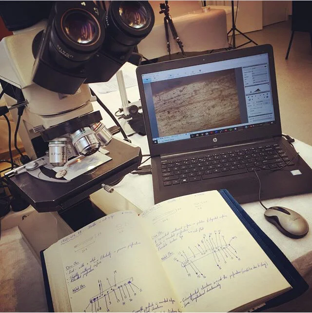 Microwear analysis looks at how artefacts in the past were made and used, using microscopes to see the physical traces left by the interactions of past people with these objects.