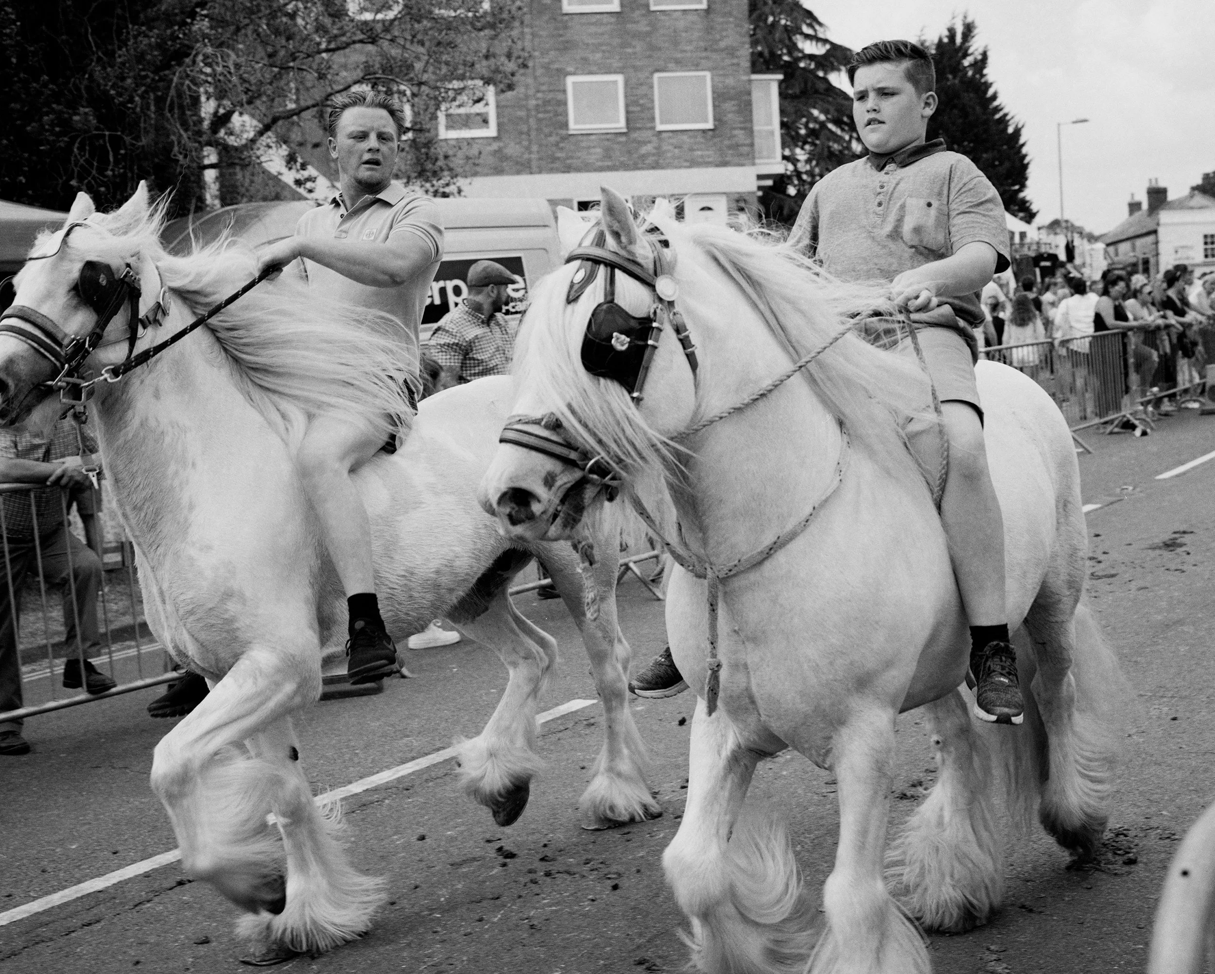Travellers | Wickham Horse Fair