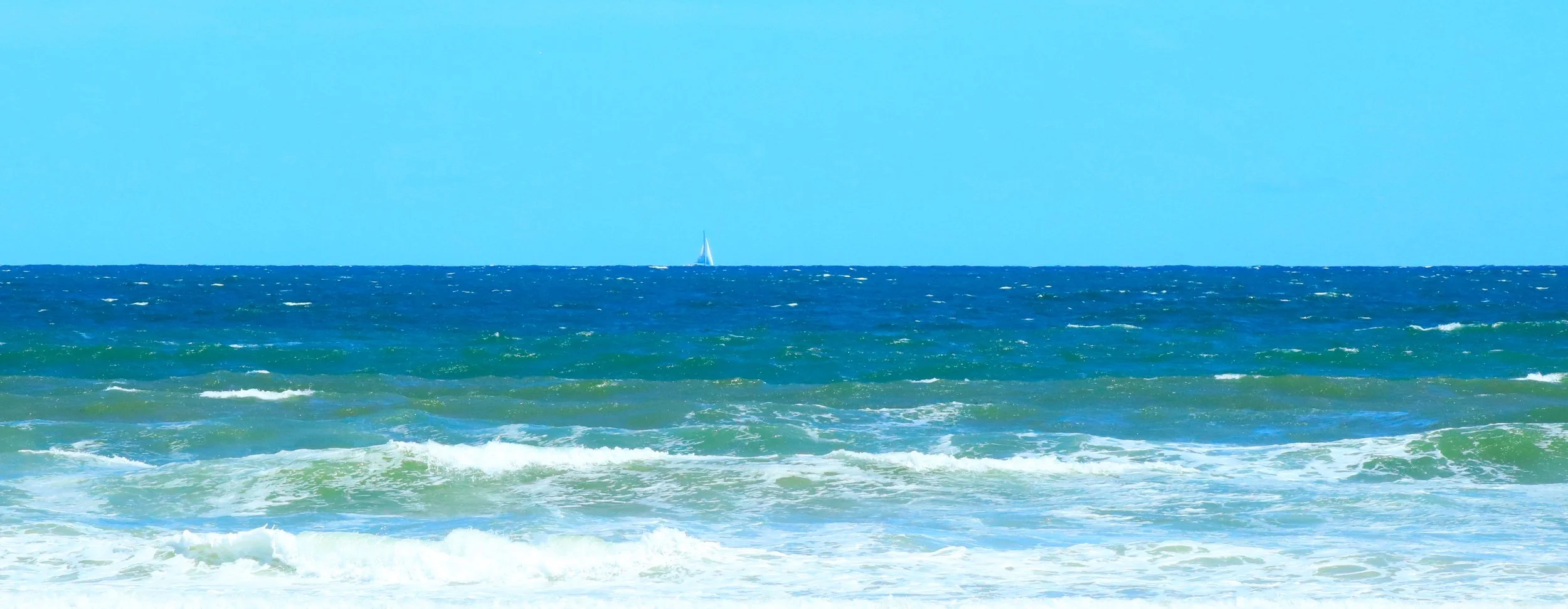 1P1A2383 1.JPG