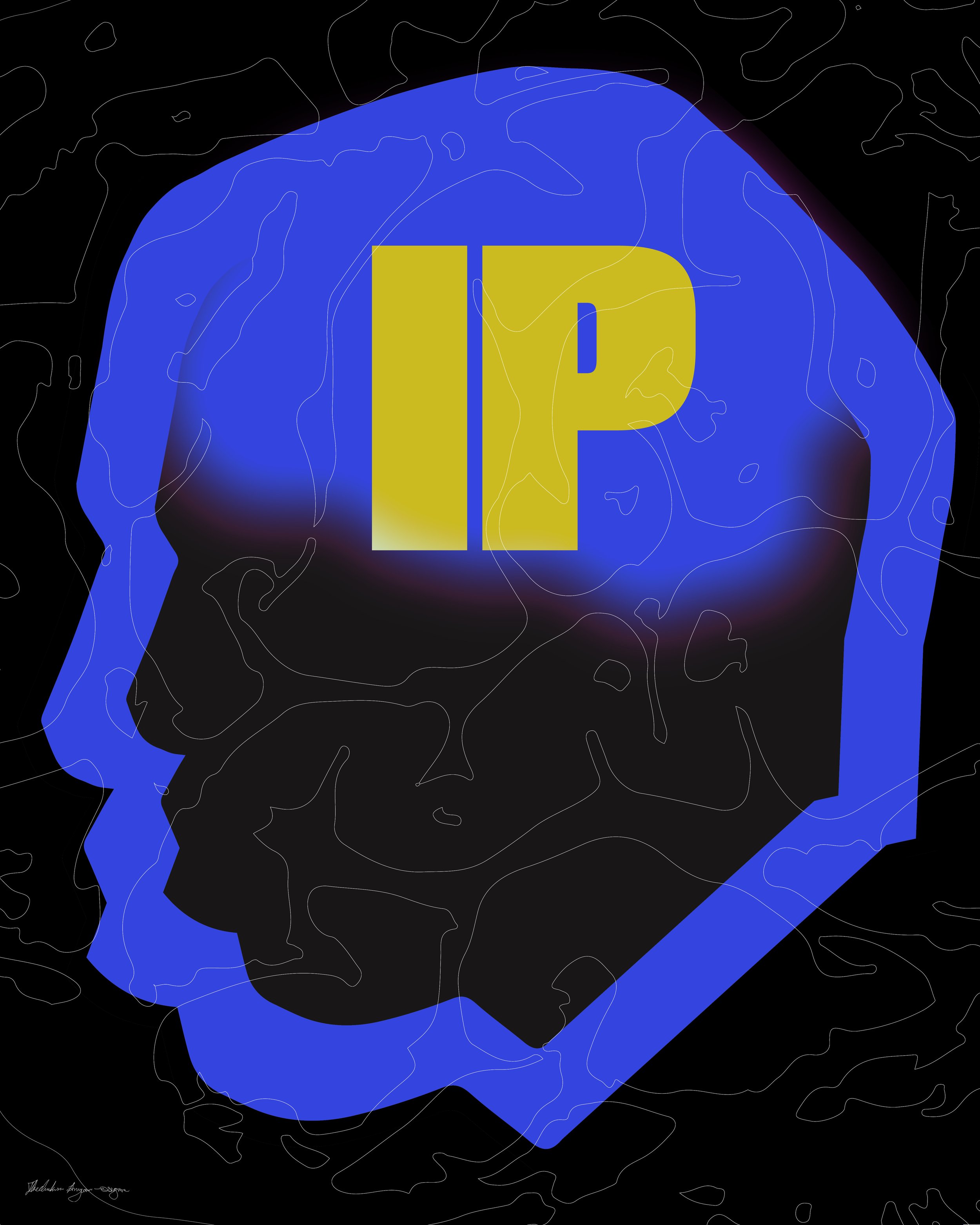 Inteletual Property Illustration Signed-07.jpg