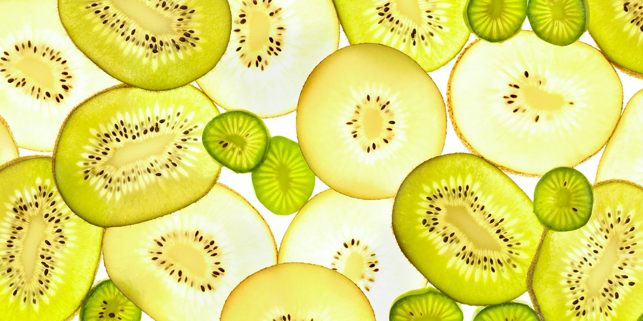 Homa - Kiwi Composizione.jpg