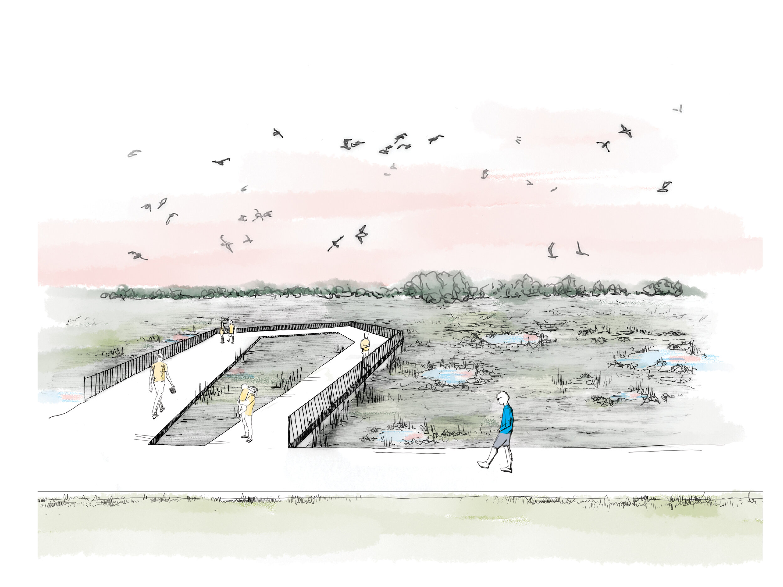 wetland walk