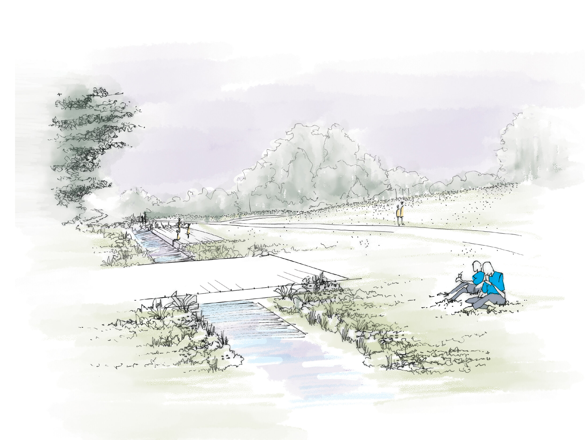 canalside meadow