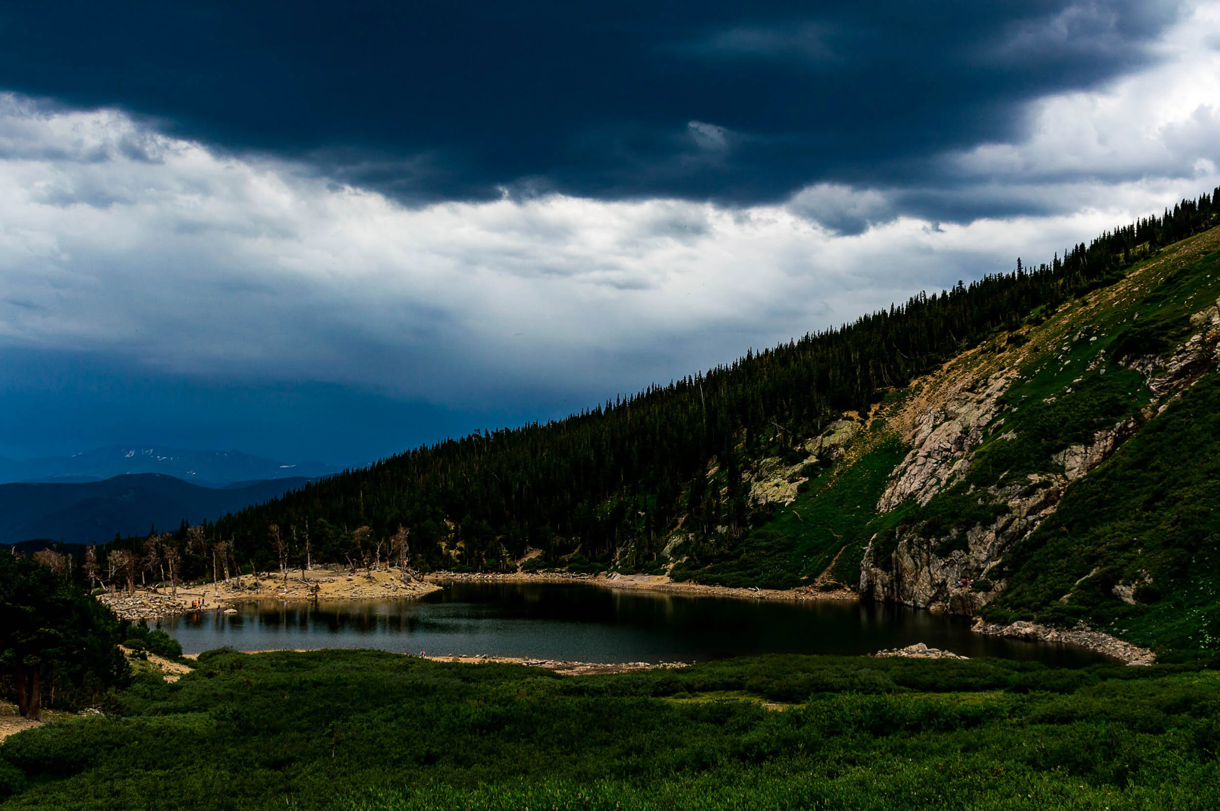 _DSC2973.jpg