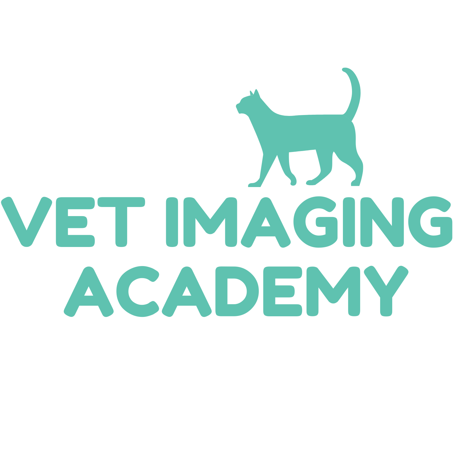 Vet Imaging Academy