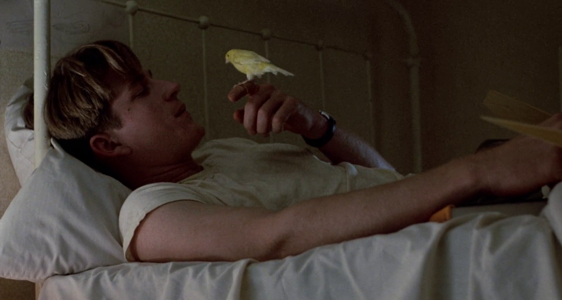 Birdy (1984)