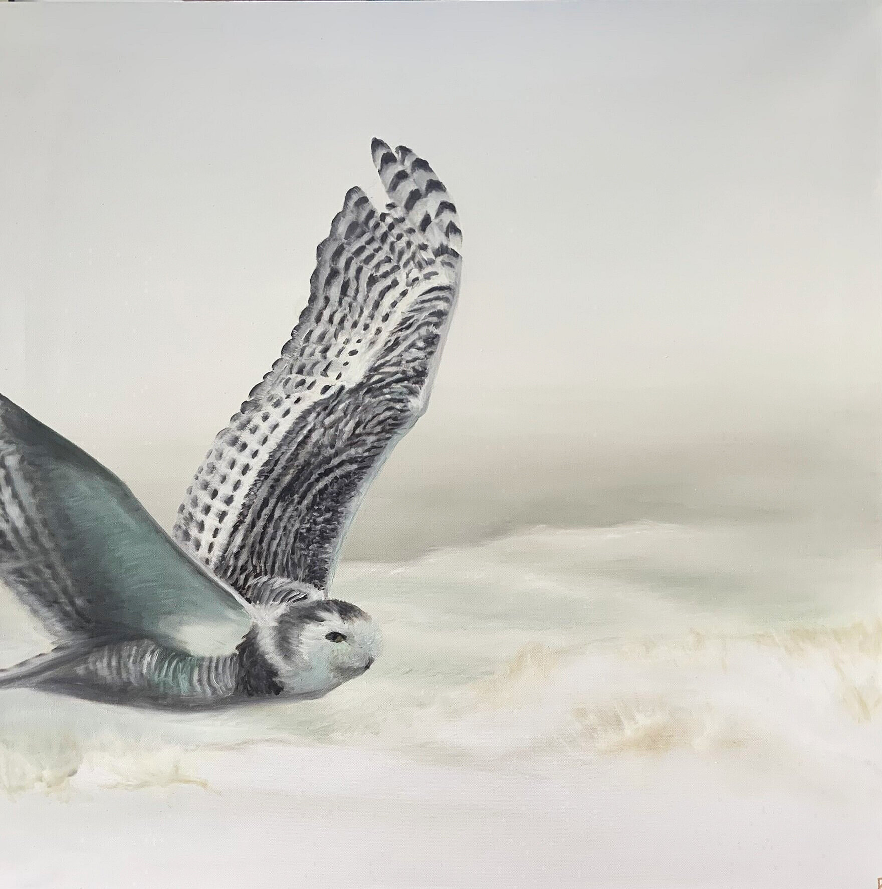 "Dune Road Mascot" - Oil on canvas- 30 x 30