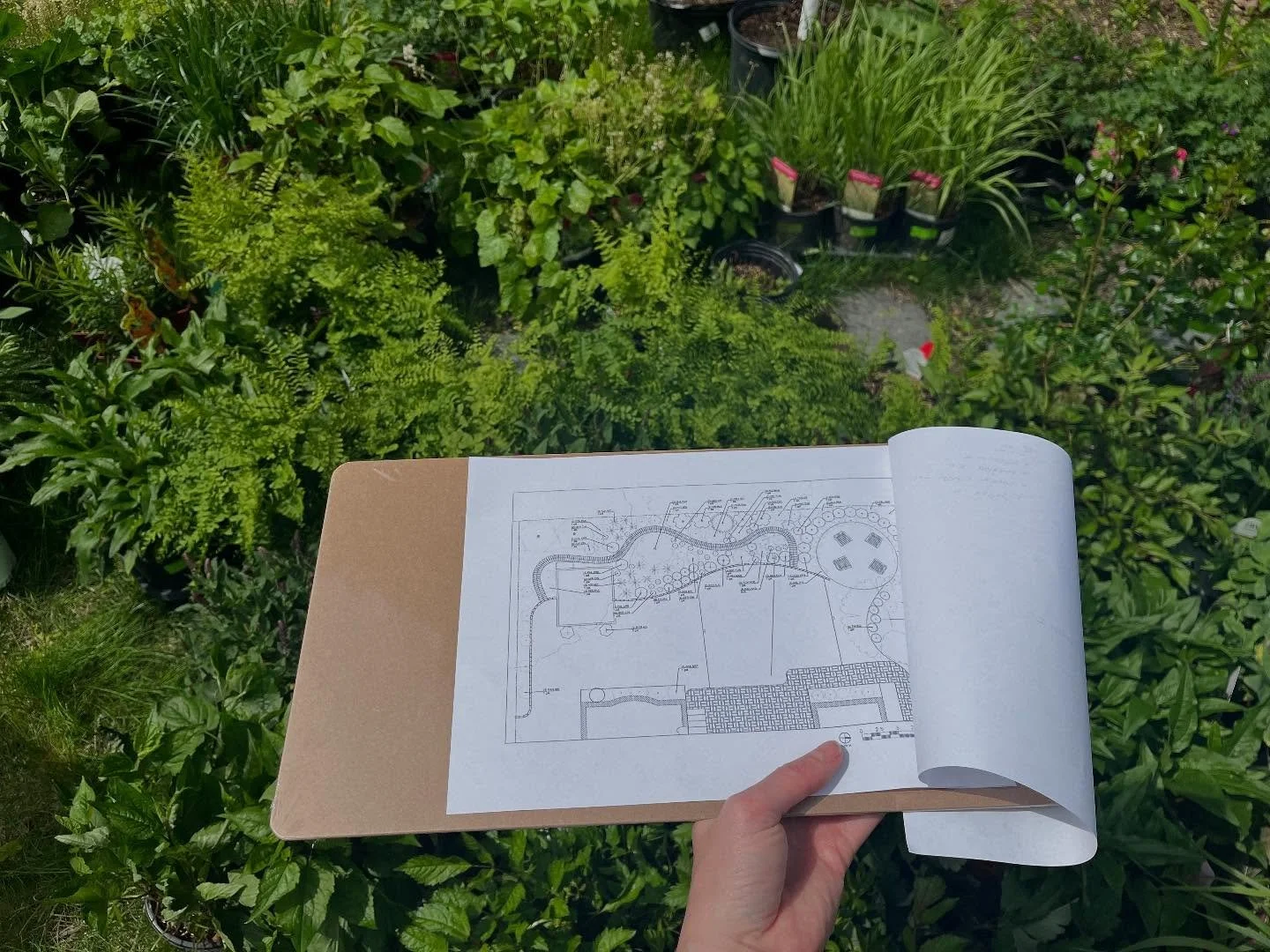 Plant delivery day is the best day! Thank you @westonnurserieswholesale 🌱🌿🌾🌸