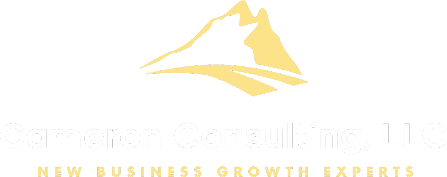 CAMERON CONSULTING