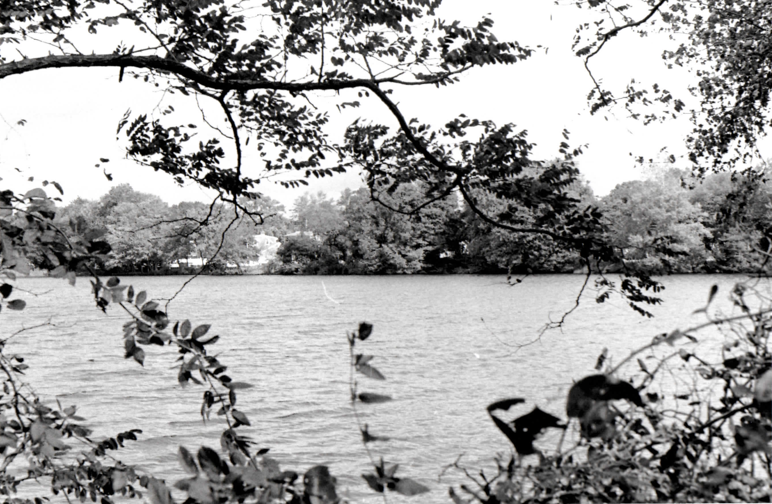 PortfolioFrom film photography to digital artwork, all of Frank’s artwork can be seen here.