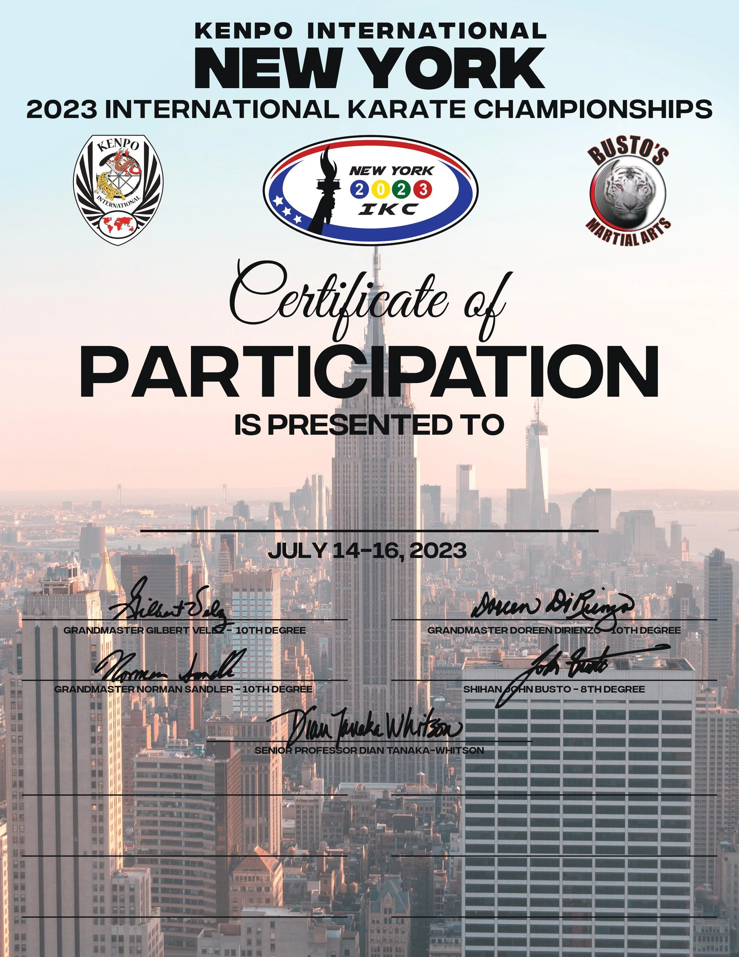 Participation Certificate 6 Portrait.jpg