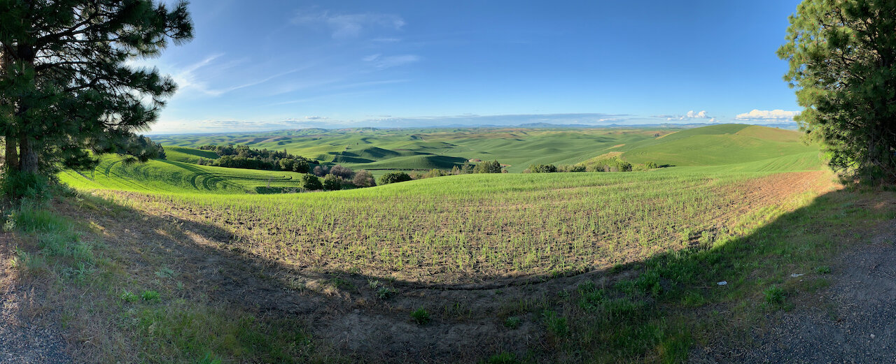 Steptoe Butte