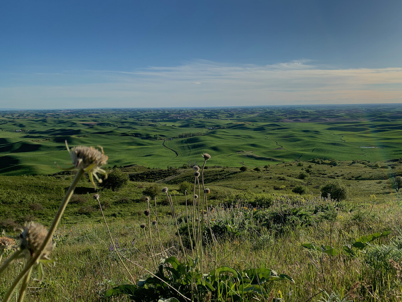 Steptoe Butte