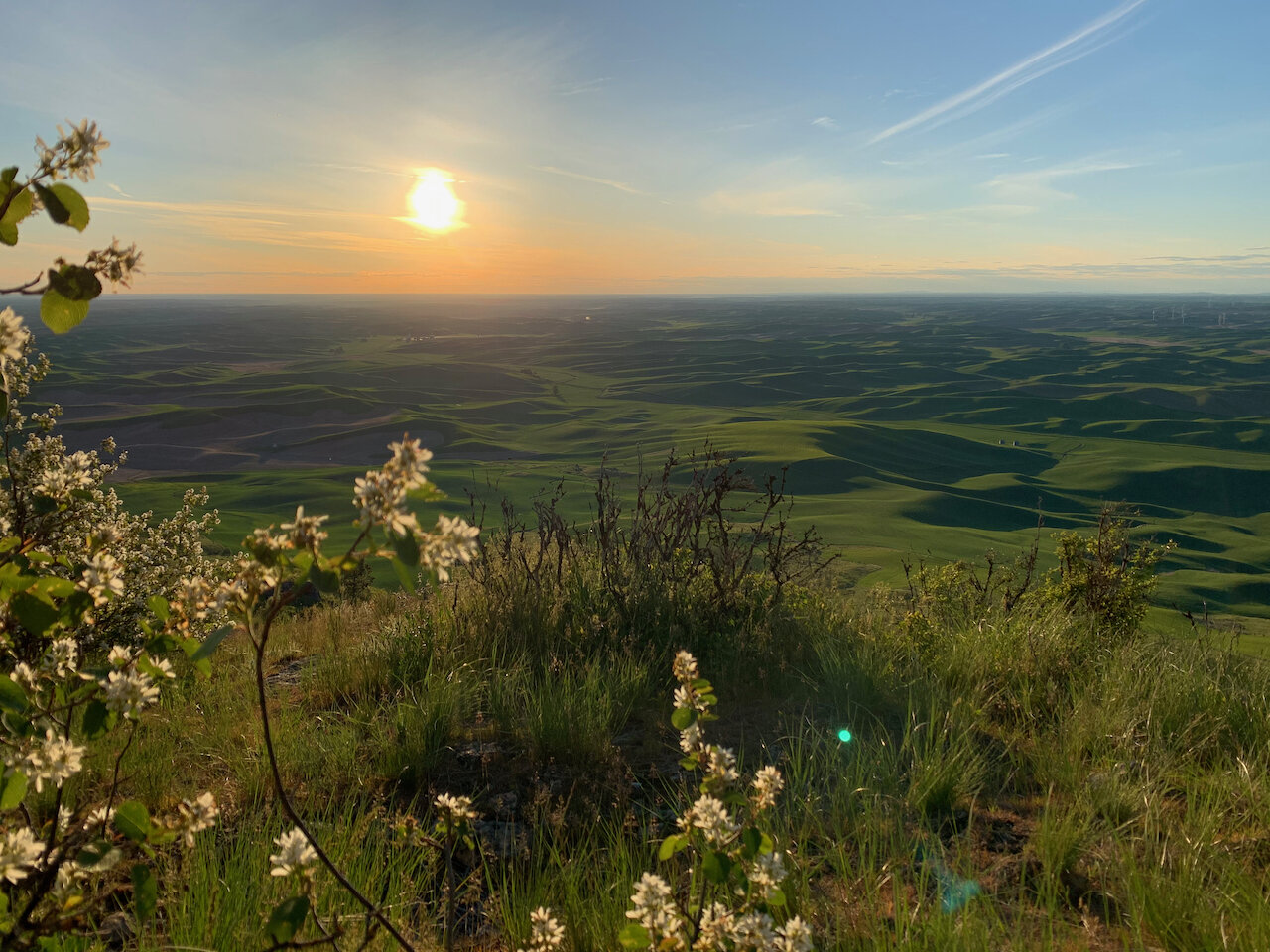 Steptoe Butte