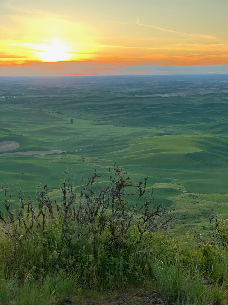 Steptoe Butte